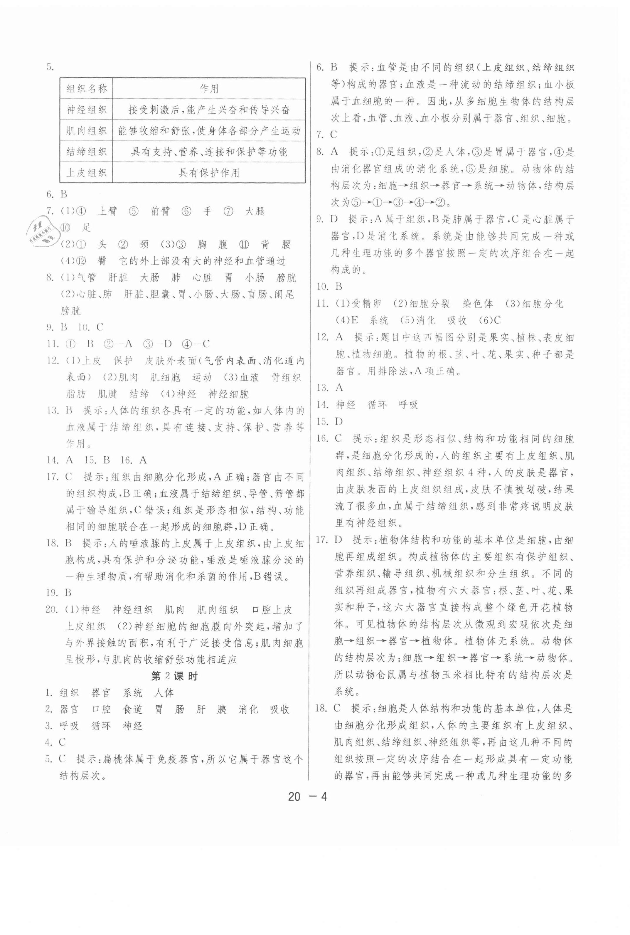 2021年1课3练单元达标测试七年级生物下册苏科版 第4页