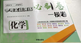 2021年中考實戰演練必刷卷化學