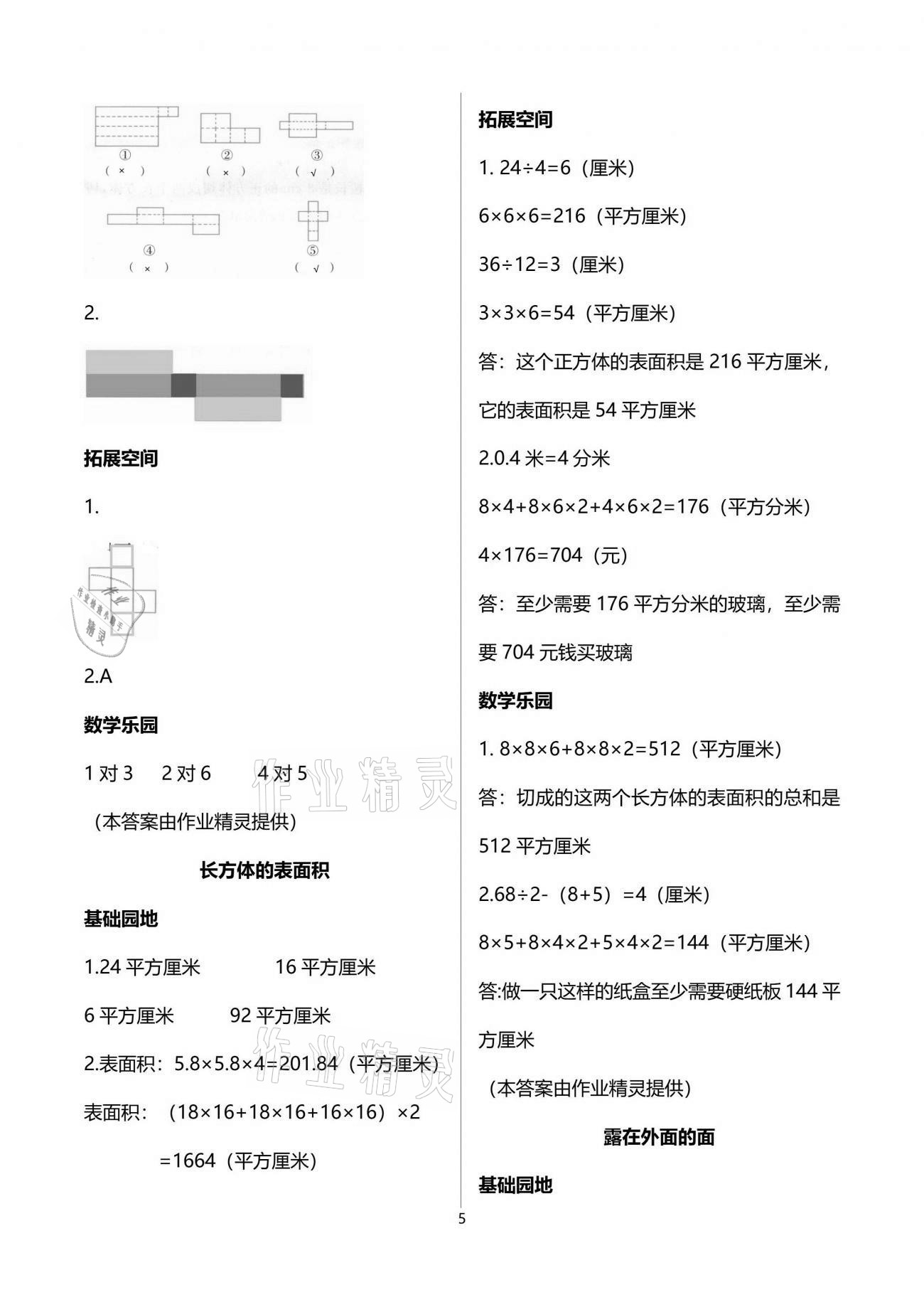 2021年新編基礎訓練五年級數(shù)學下冊北師大版 參考答案第5頁