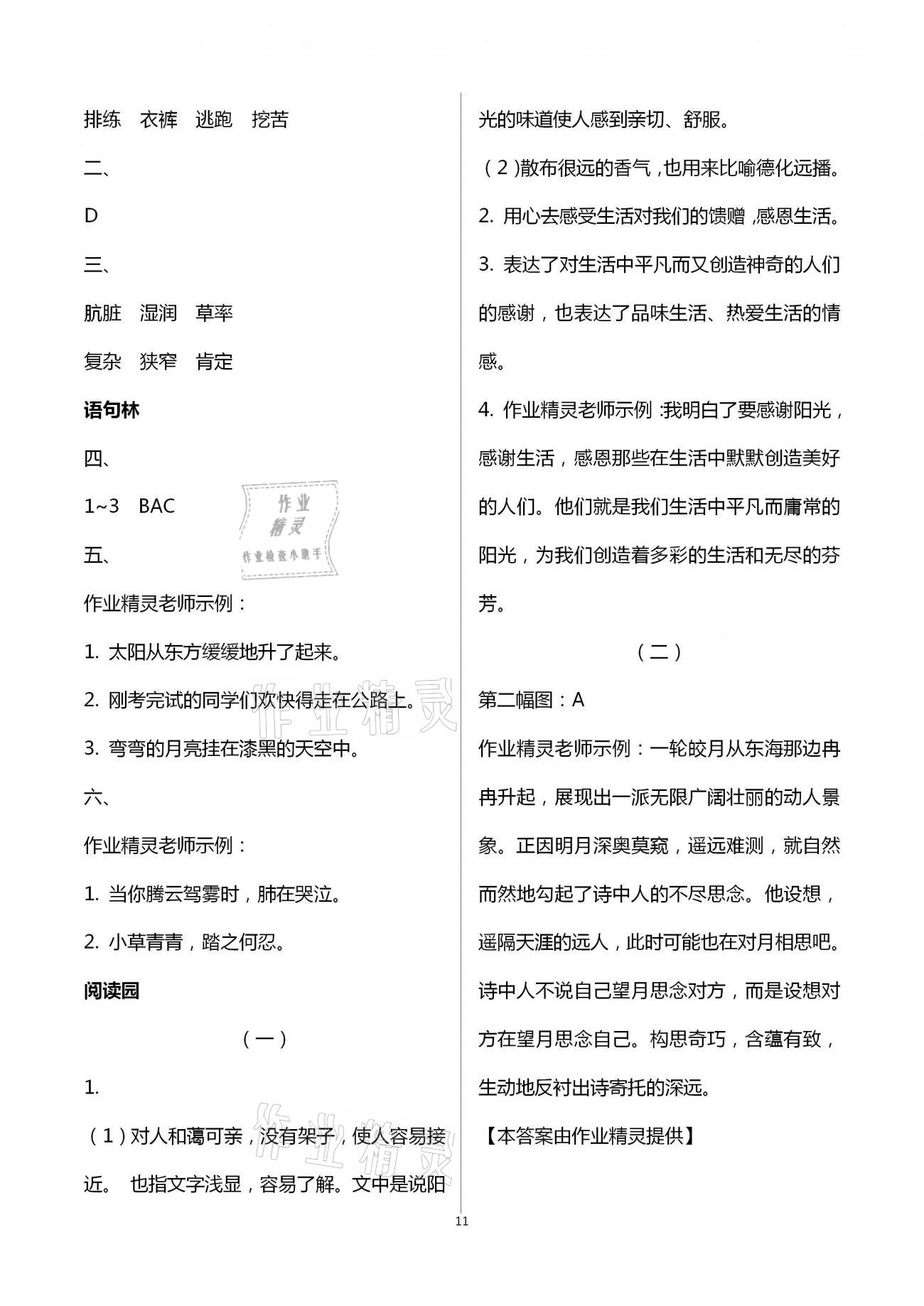 2021年寒假作业四年级合订本河南专用延边教育出版社 参考答案第11页