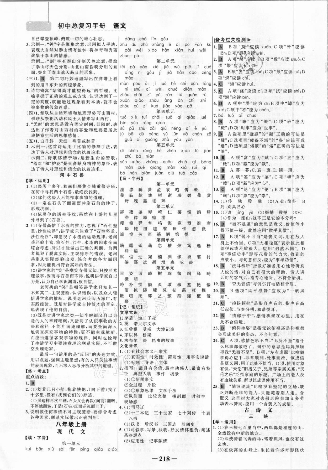 2021年初中總復(fù)習(xí)手冊語文山東畫報出版社 參考答案第5頁