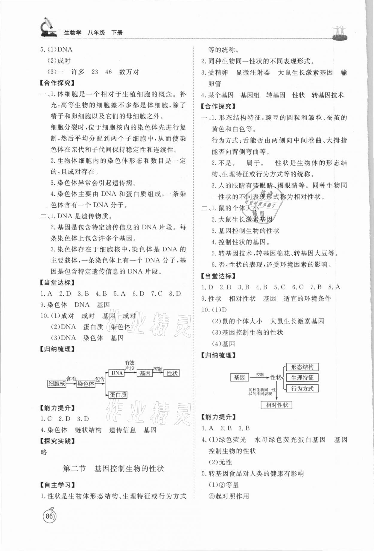 2021年初中同步练习册八年级生物学下册鲁科版54制山东友谊出版社 第4页