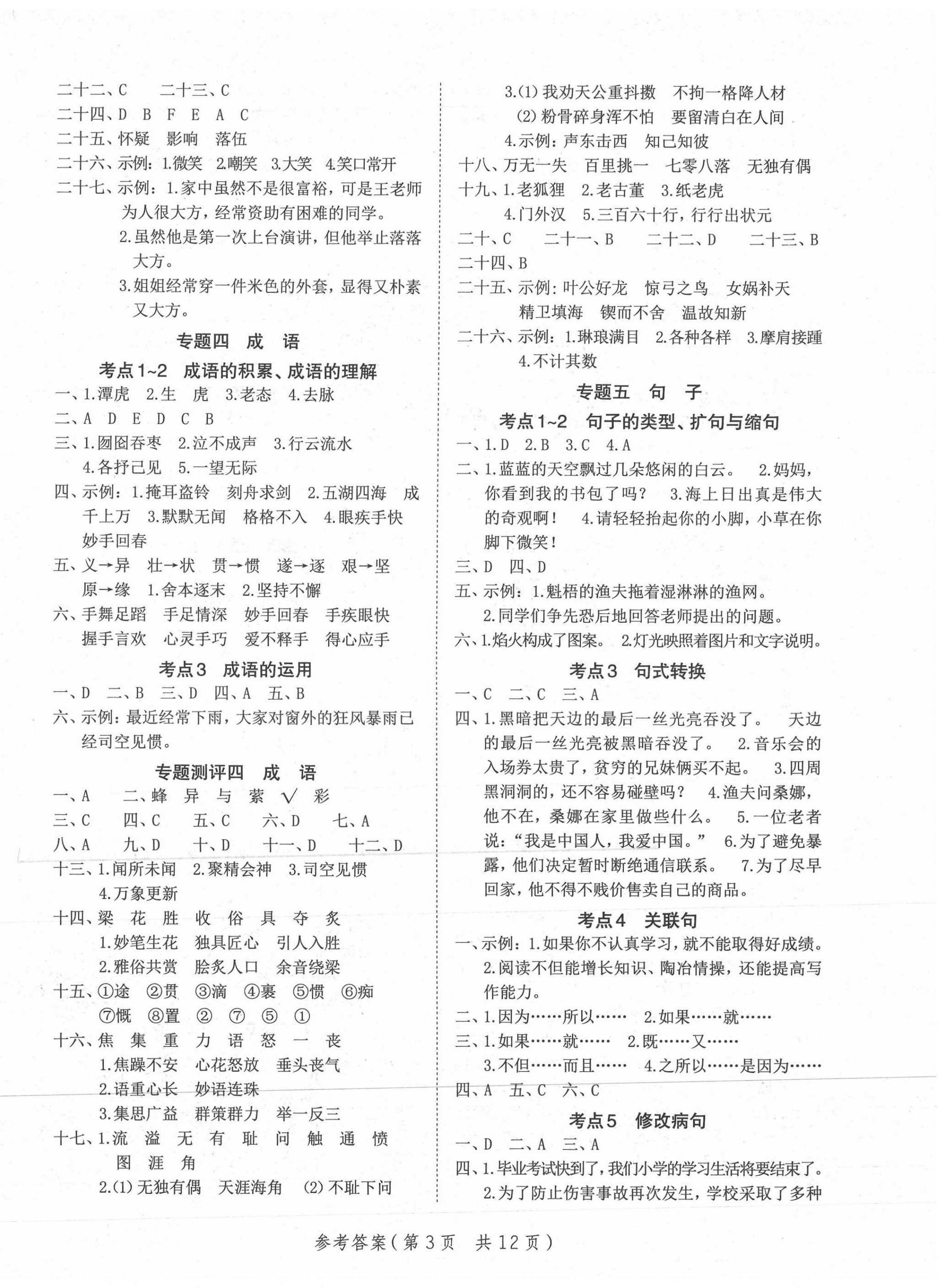 2021年小學(xué)升學(xué)總復(fù)習(xí)極速提分高效練案語(yǔ)文 第3頁(yè)