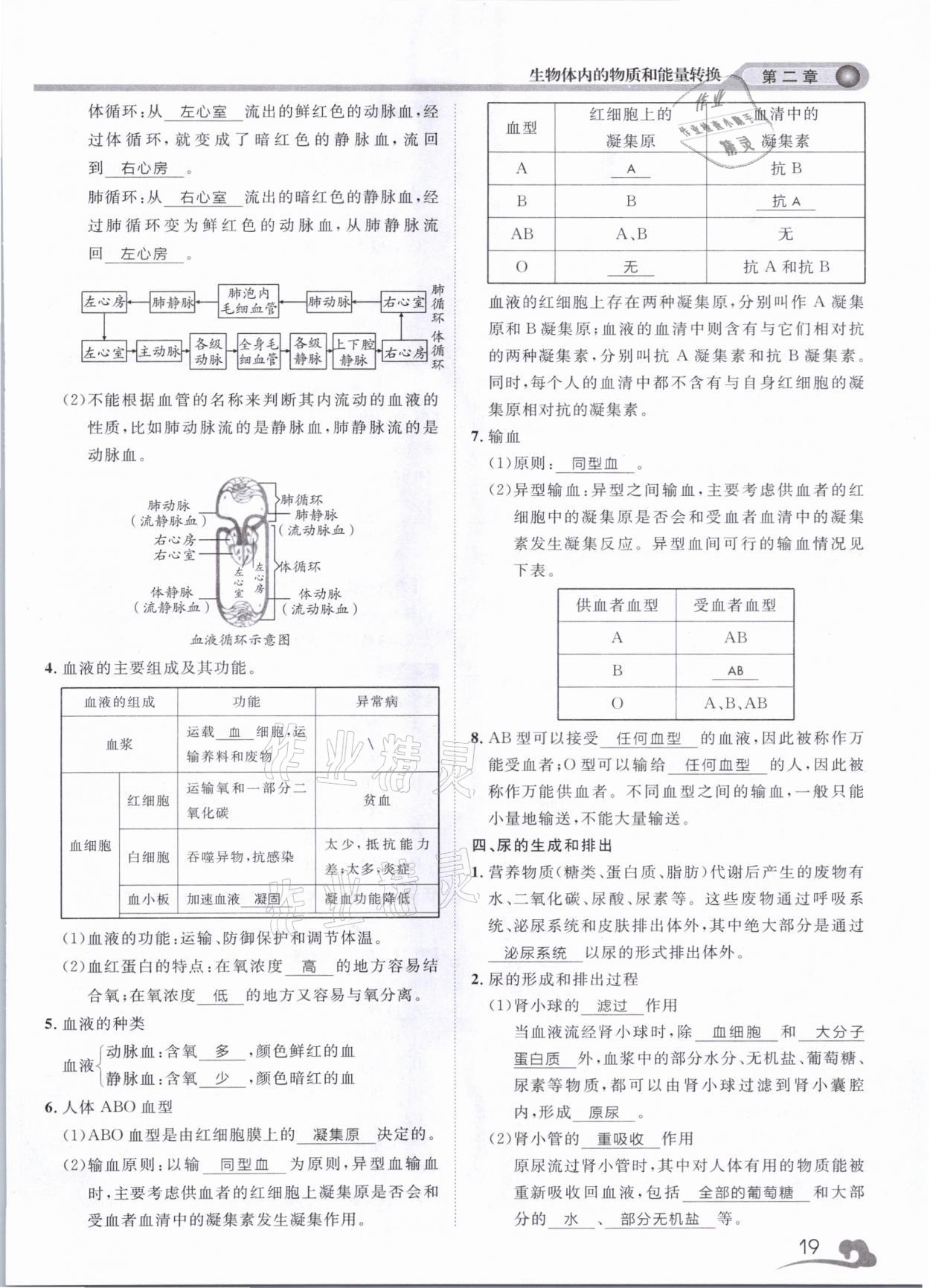 2021年中考指南科學浙江工商大學出版社溫州專版 第19頁