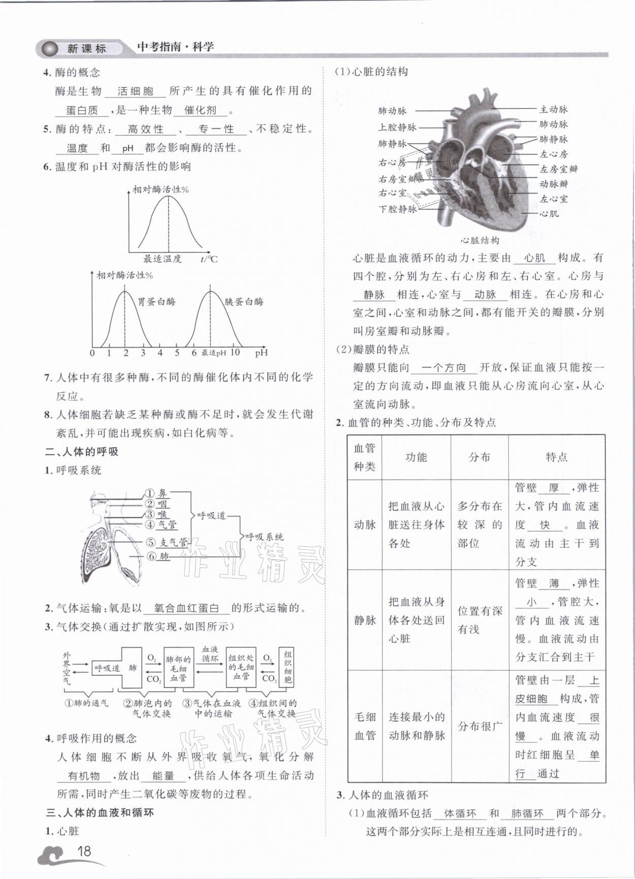 2021年中考指南科學浙江工商大學出版社溫州專版 第18頁