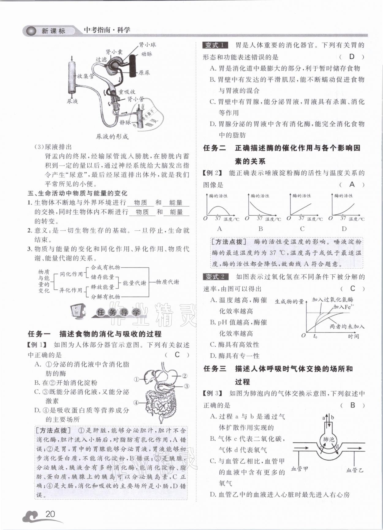 2021年中考指南科學(xué)浙江工商大學(xué)出版社溫州專版 第20頁