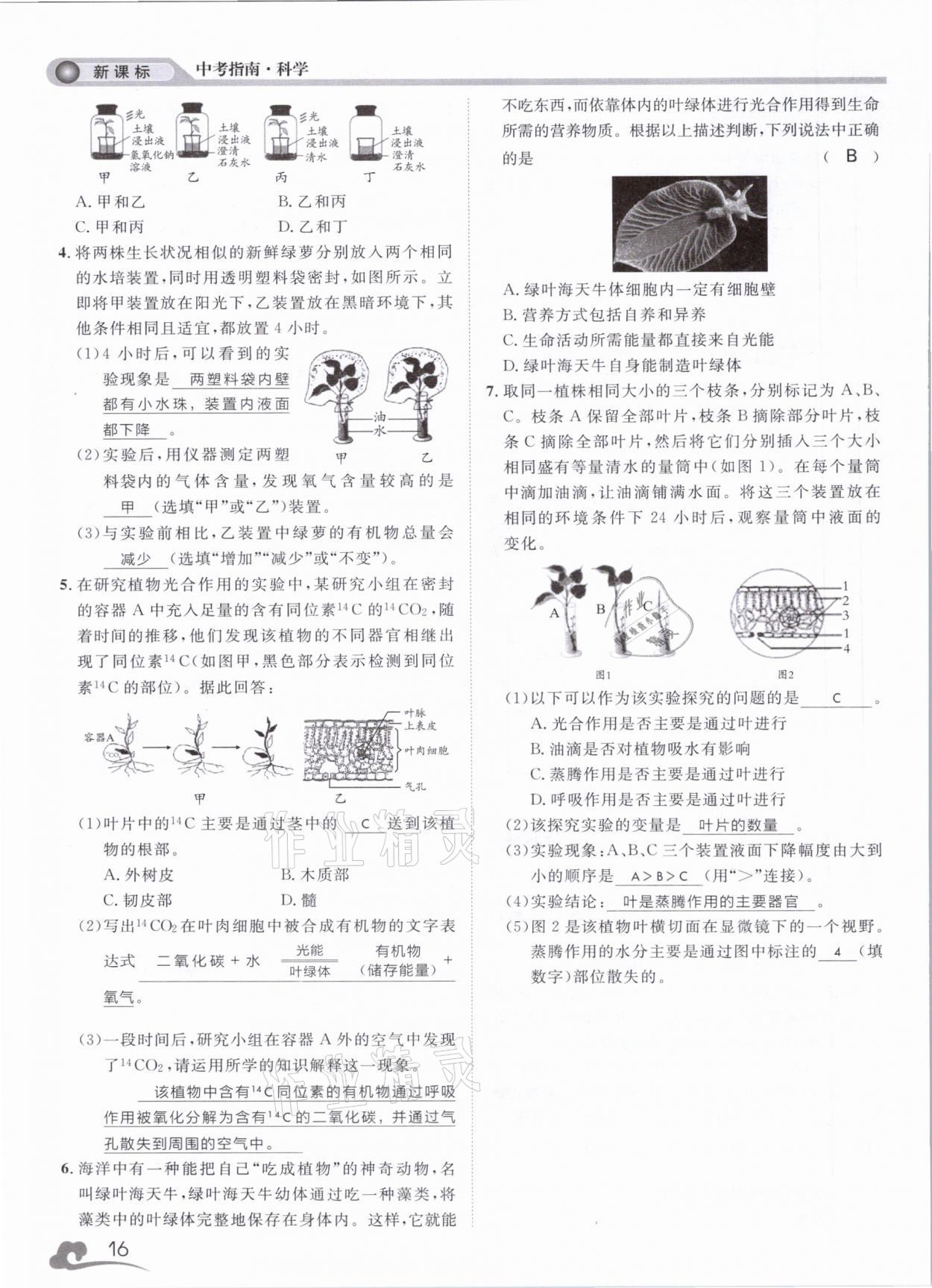 2021年中考指南科學浙江工商大學出版社溫州專版 第16頁