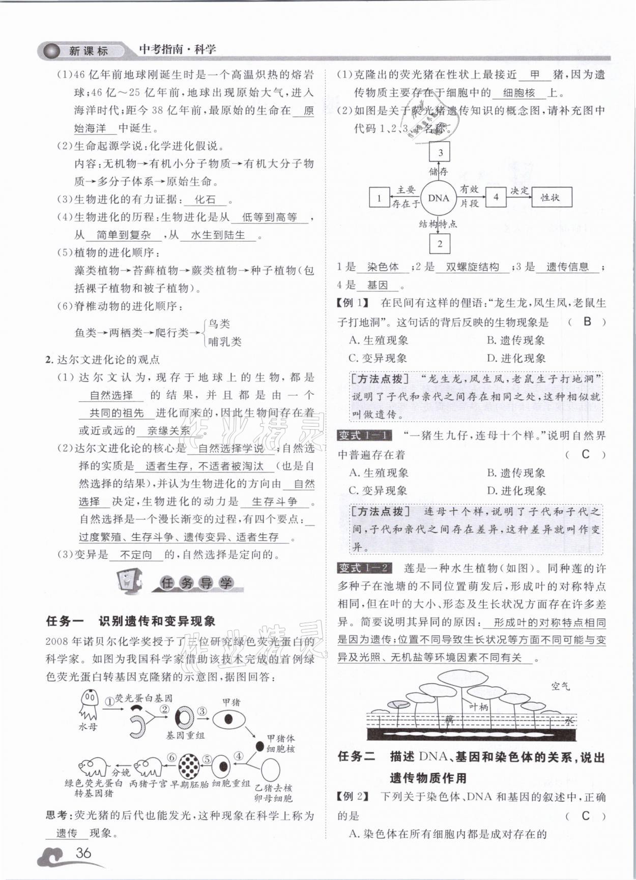 2021年中考指南科學(xué)浙江工商大學(xué)出版社溫州專版 第36頁