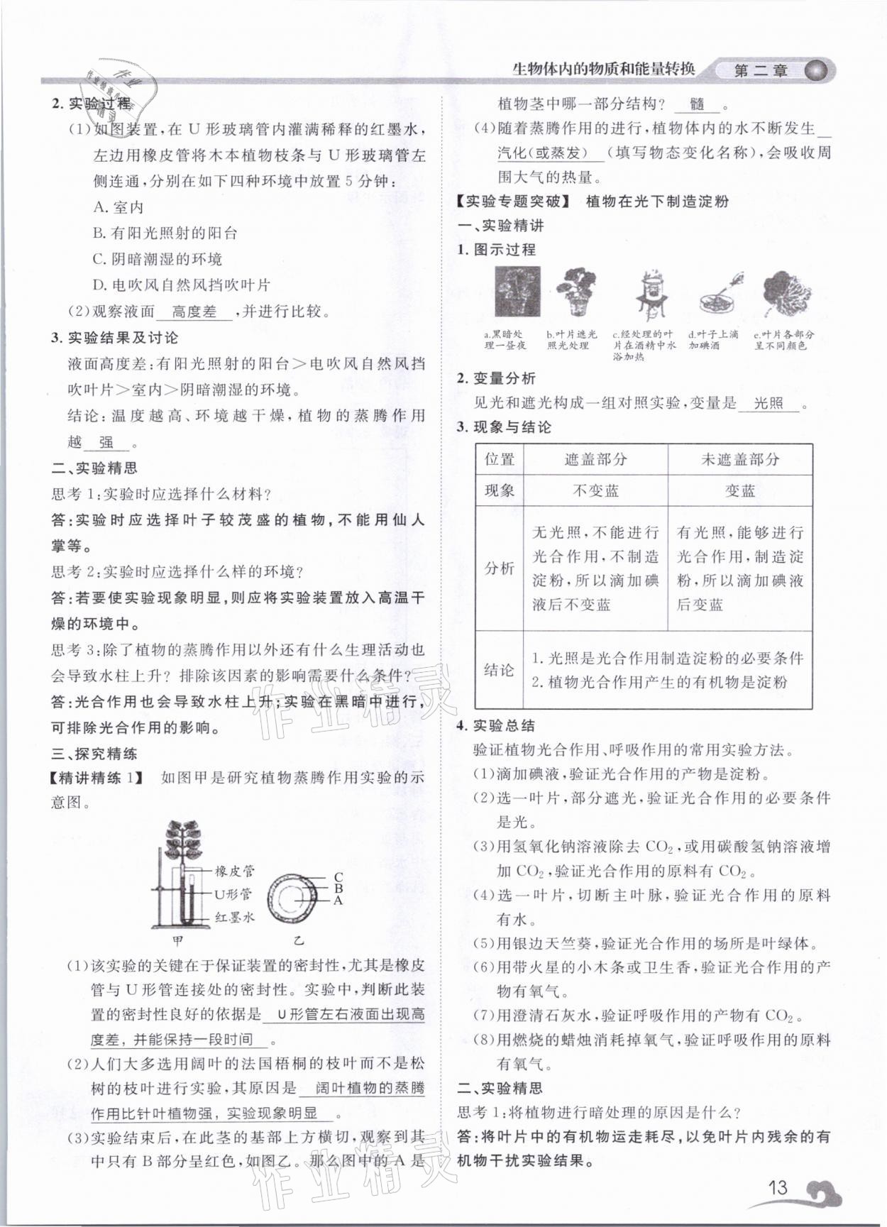 2021年中考指南科學(xué)浙江工商大學(xué)出版社溫州專版 第13頁