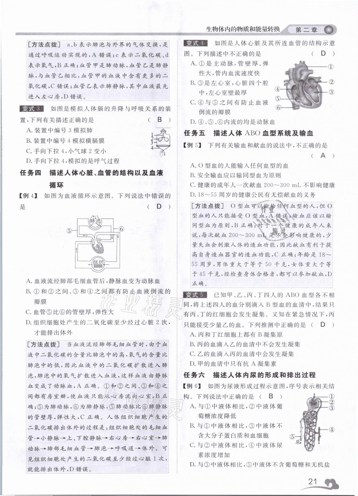 2021年中考指南科學(xué)浙江工商大學(xué)出版社溫州專版 第21頁