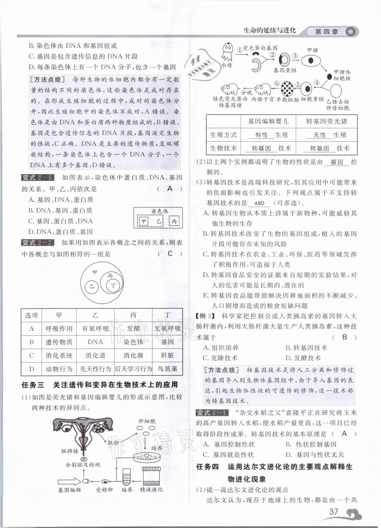 2021年中考指南科學(xué)浙江工商大學(xué)出版社溫州專版 第37頁(yè)