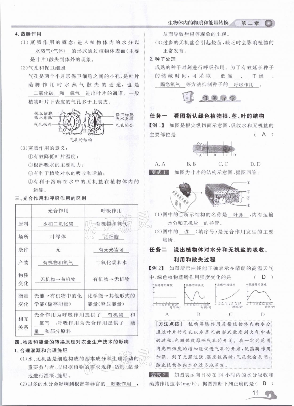 2021年中考指南科學浙江工商大學出版社溫州專版 第11頁