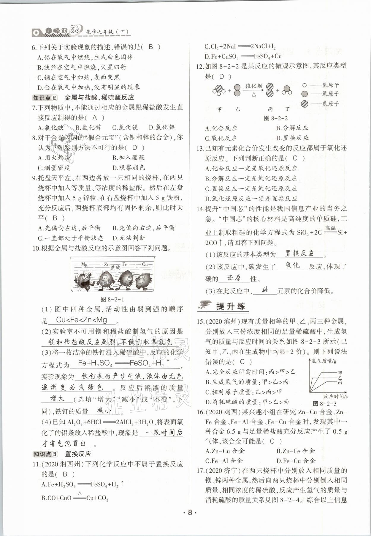 2021年巔峰對決九年級化學下冊人教版 參考答案第8頁