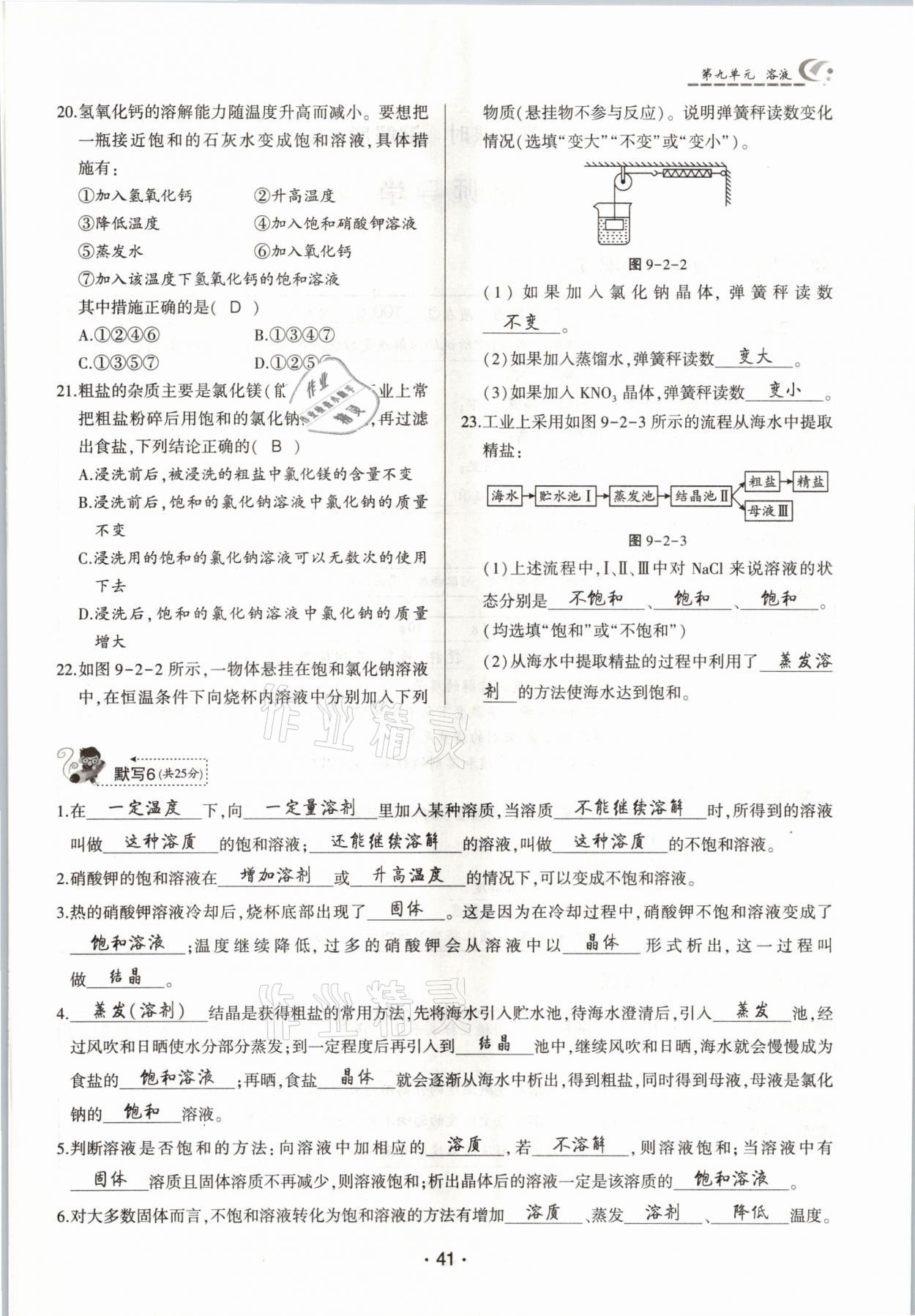 2021年巔峰對決九年級化學下冊人教版 參考答案第41頁
