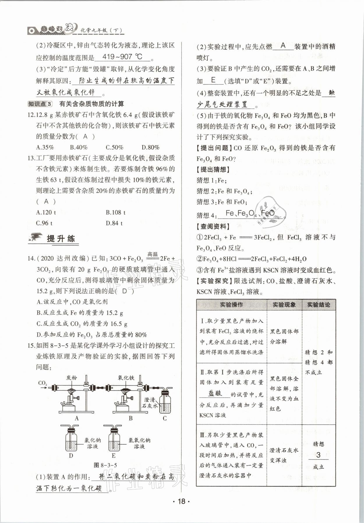 2021年巔峰對決九年級化學下冊人教版 參考答案第18頁