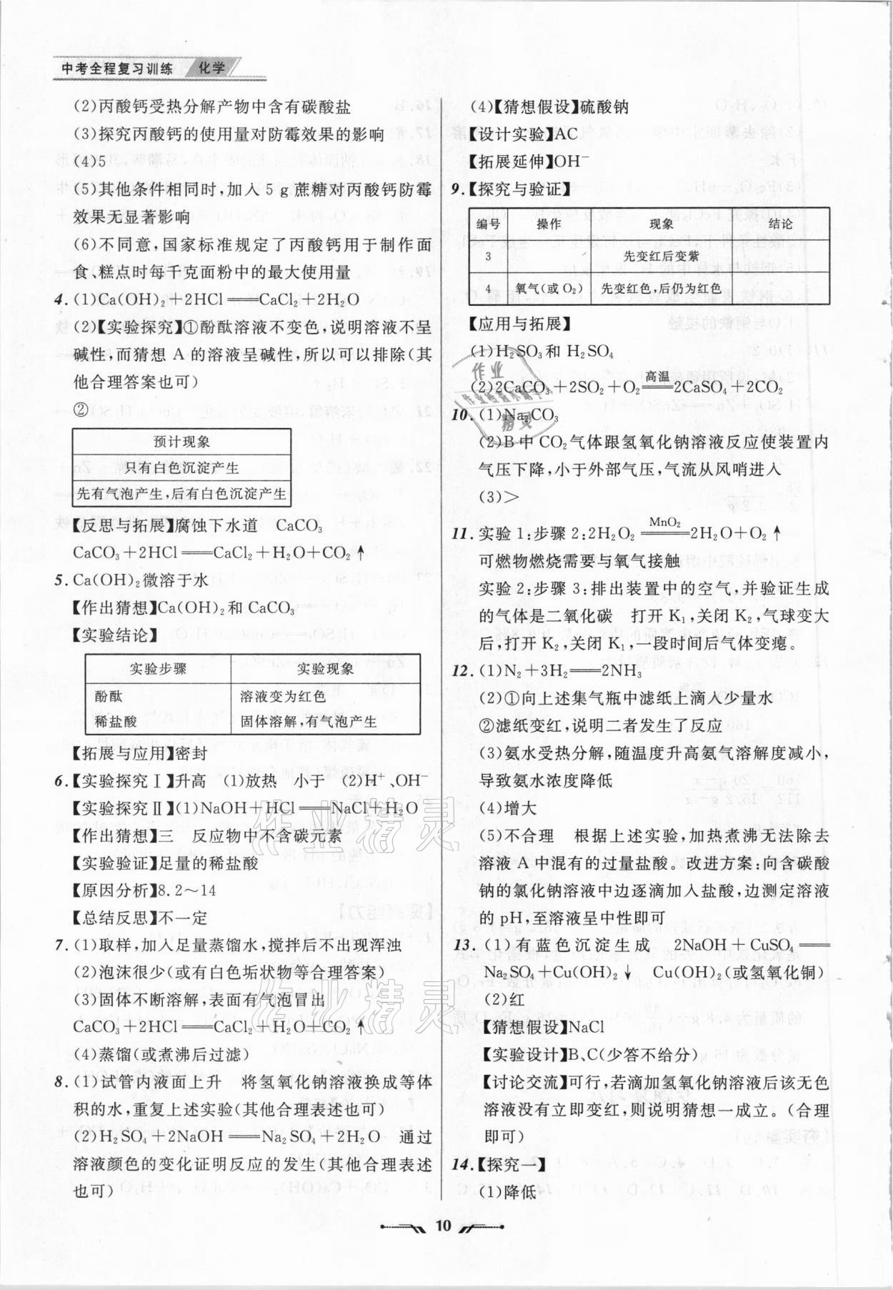 2021年中考全程復(fù)習(xí)訓(xùn)練化學(xué)大連專版 參考答案第10頁