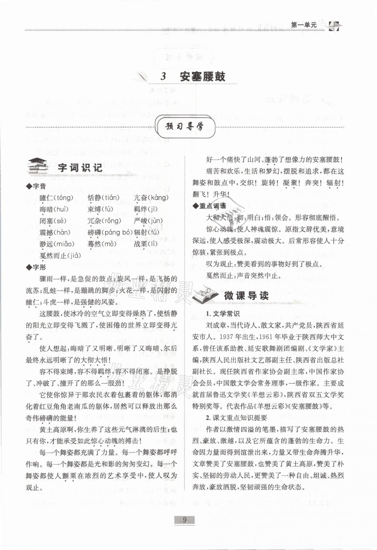 2021年名師課堂課時優(yōu)化精講精練八年級語文下冊人教版 第9頁