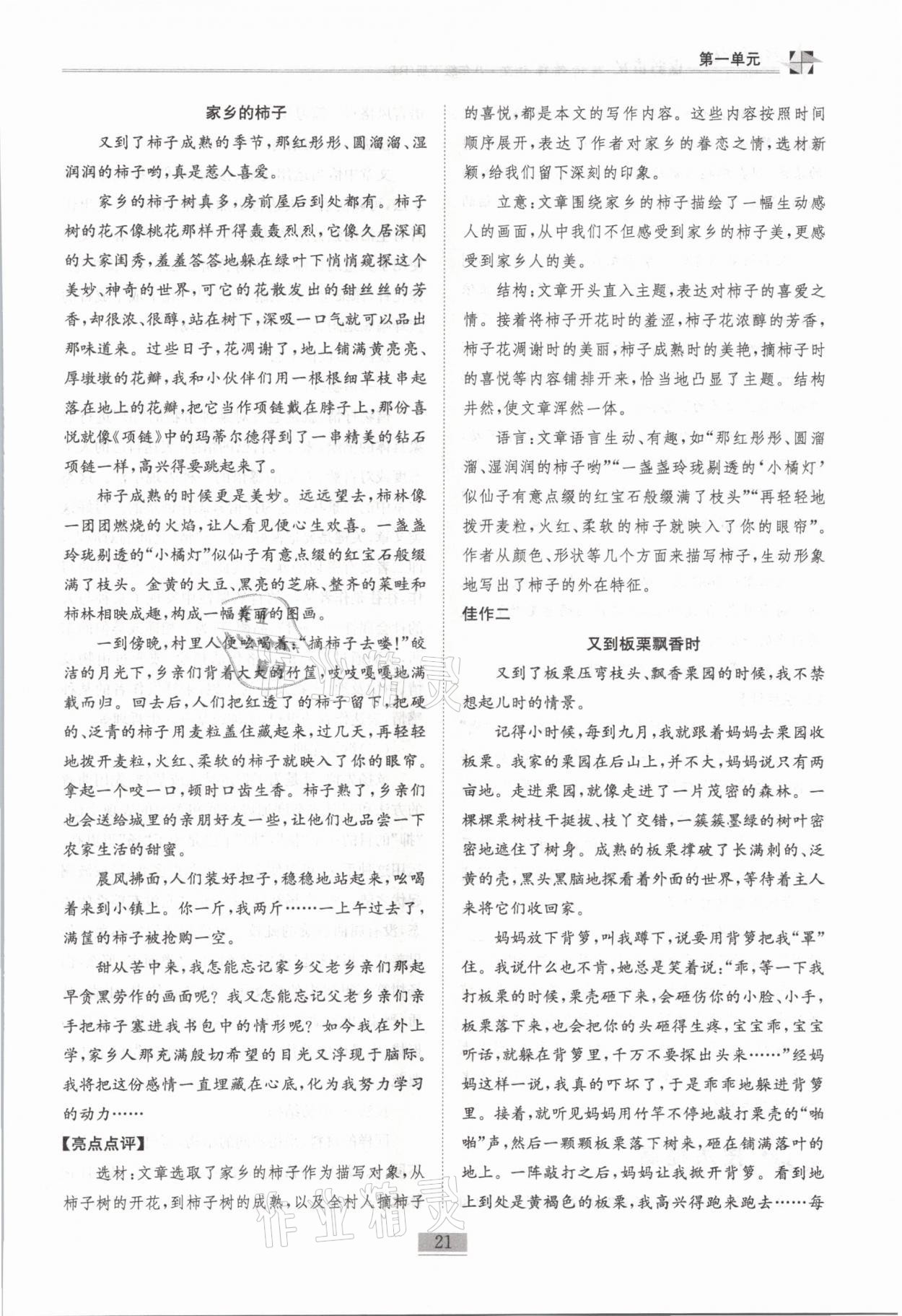 2021年名師課堂課時優(yōu)化精講精練八年級語文下冊人教版 第21頁