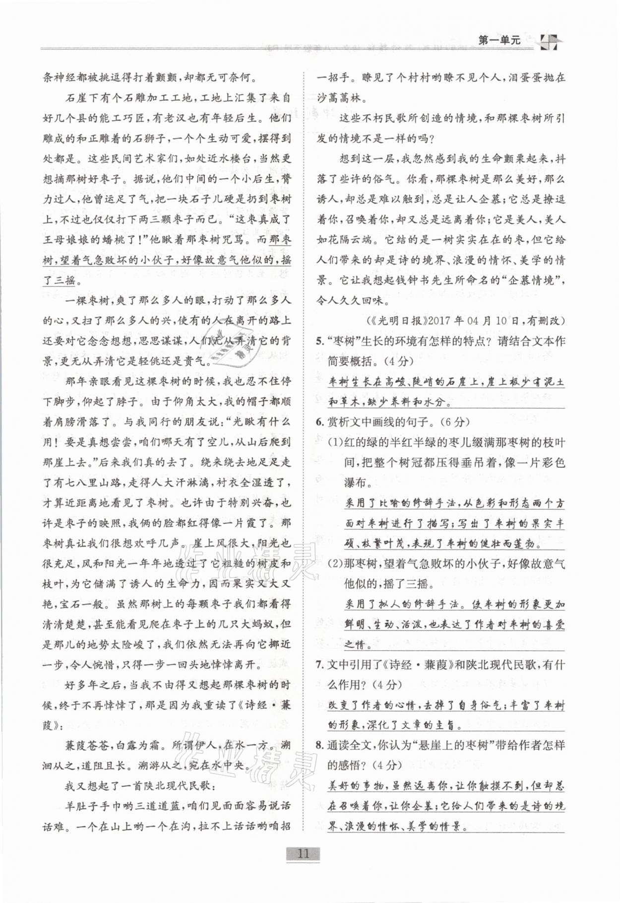 2021年名師課堂課時優(yōu)化精講精練八年級語文下冊人教版 第11頁