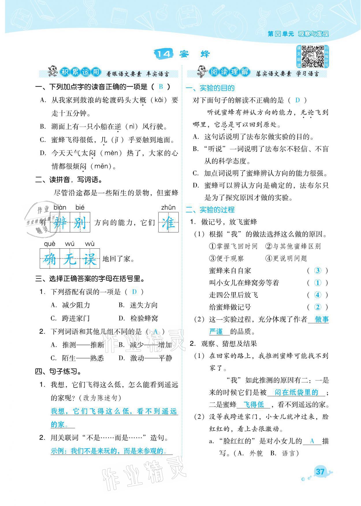 2021年綜合應用創(chuàng)新題典中點三年級語文下冊人教版福建專版 參考答案第37頁