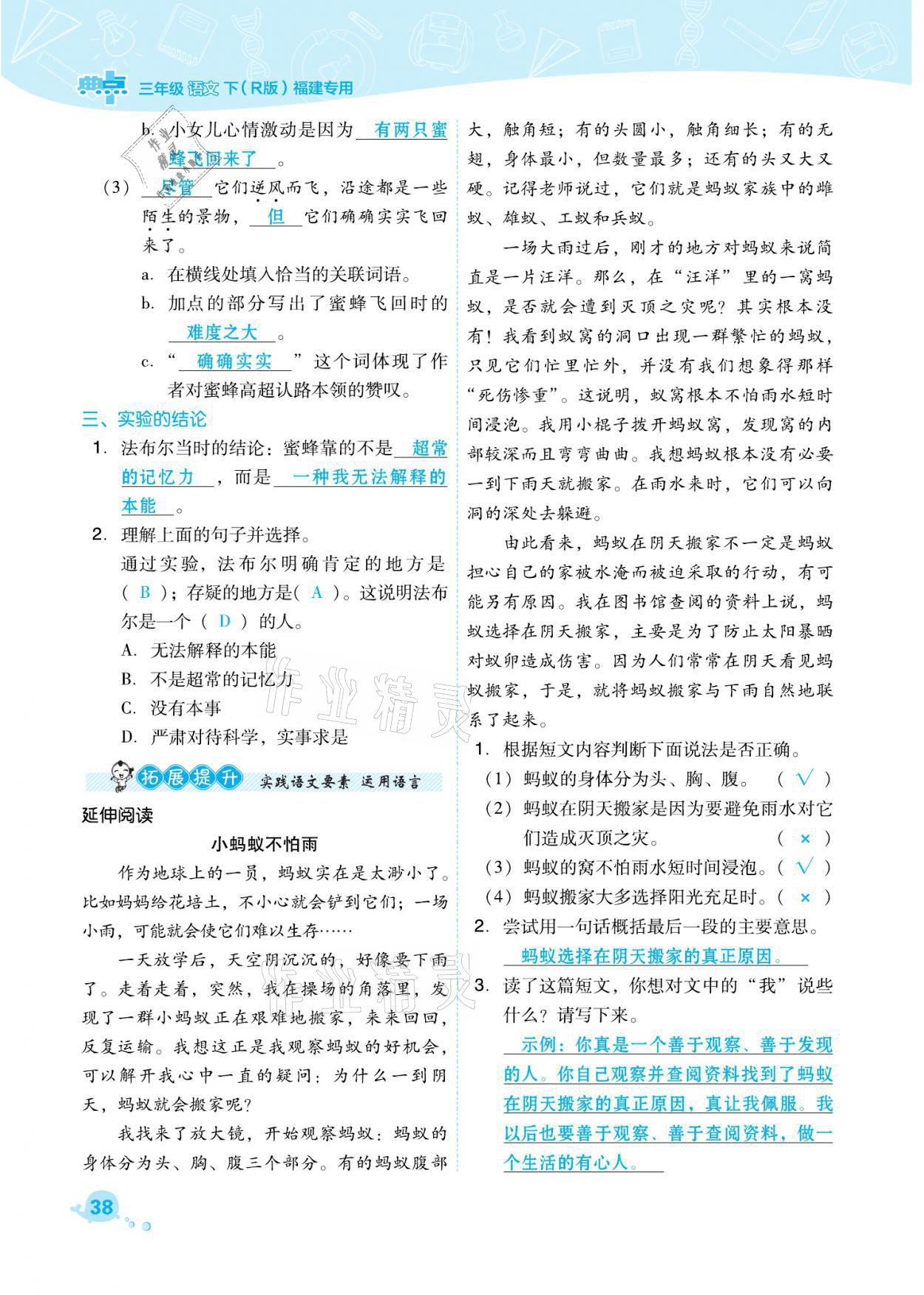 2021年綜合應(yīng)用創(chuàng)新題典中點三年級語文下冊人教版福建專版 參考答案第38頁