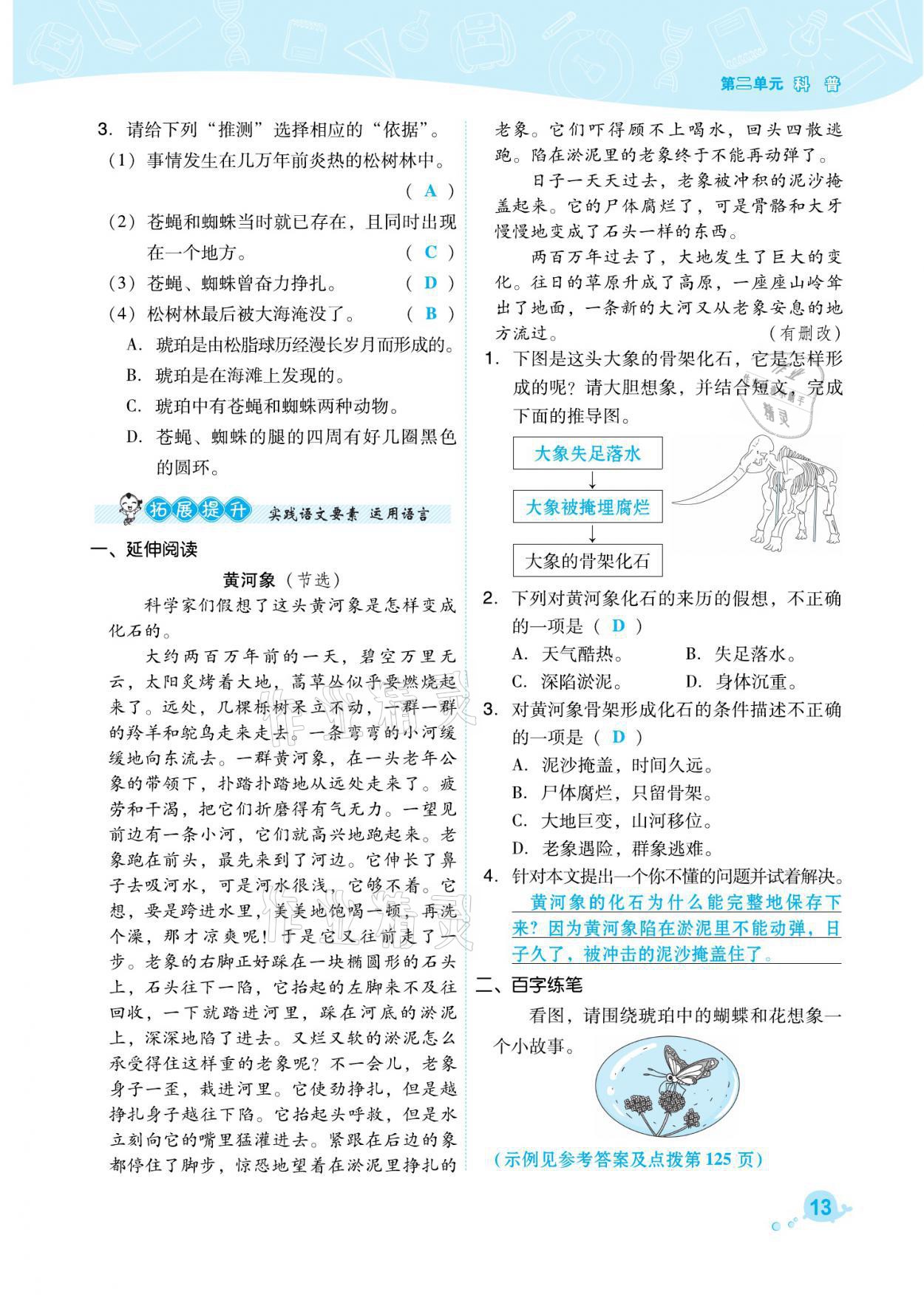 2021年綜合應用創(chuàng)新題典中點四年級語文下冊人教版福建專版 參考答案第13頁