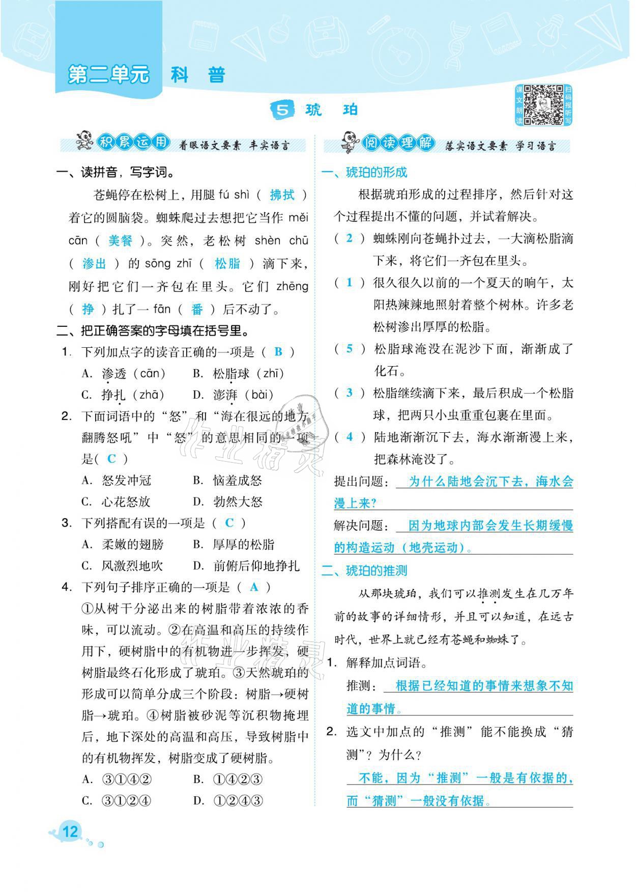 2021年綜合應(yīng)用創(chuàng)新題典中點(diǎn)四年級語文下冊人教版福建專版 參考答案第12頁