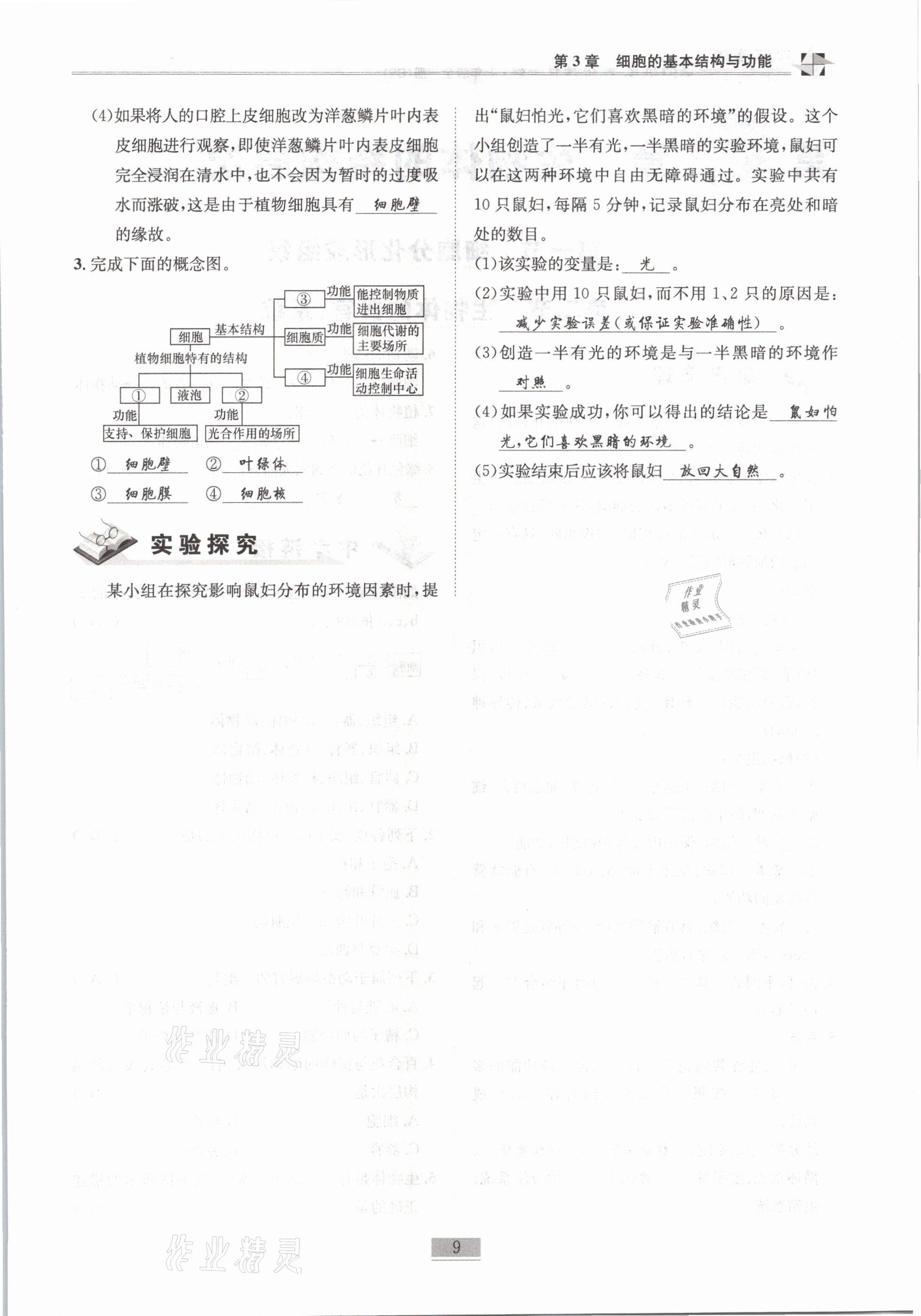 2021年名師課堂課時(shí)優(yōu)化精講精練七年級(jí)生物全一冊(cè)北師大版 第9頁(yè)