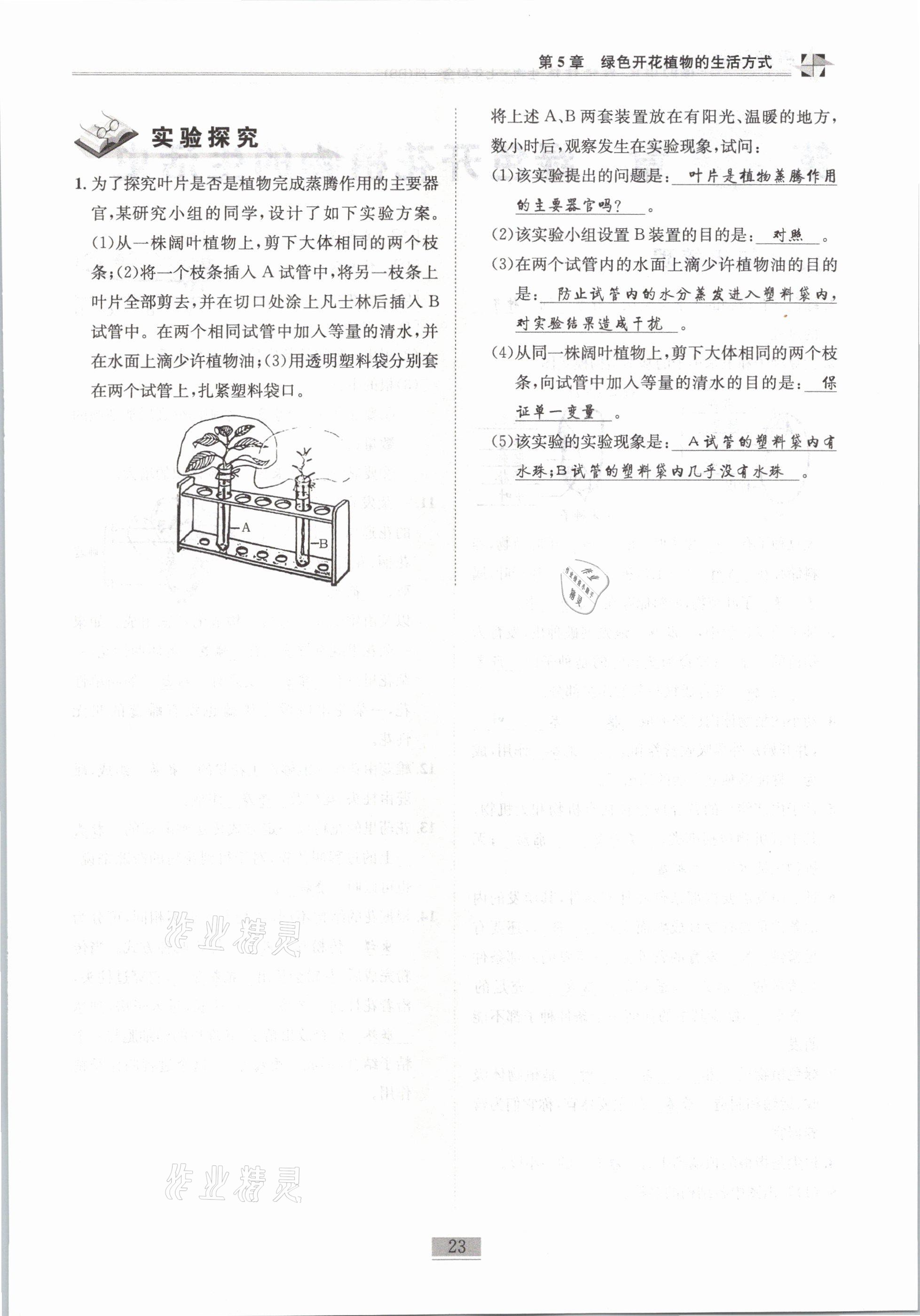 2021年名師課堂課時(shí)優(yōu)化精講精練七年級(jí)生物全一冊(cè)北師大版 第23頁(yè)