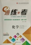 2021年E通練加考九年級化學(xué)下冊人教版