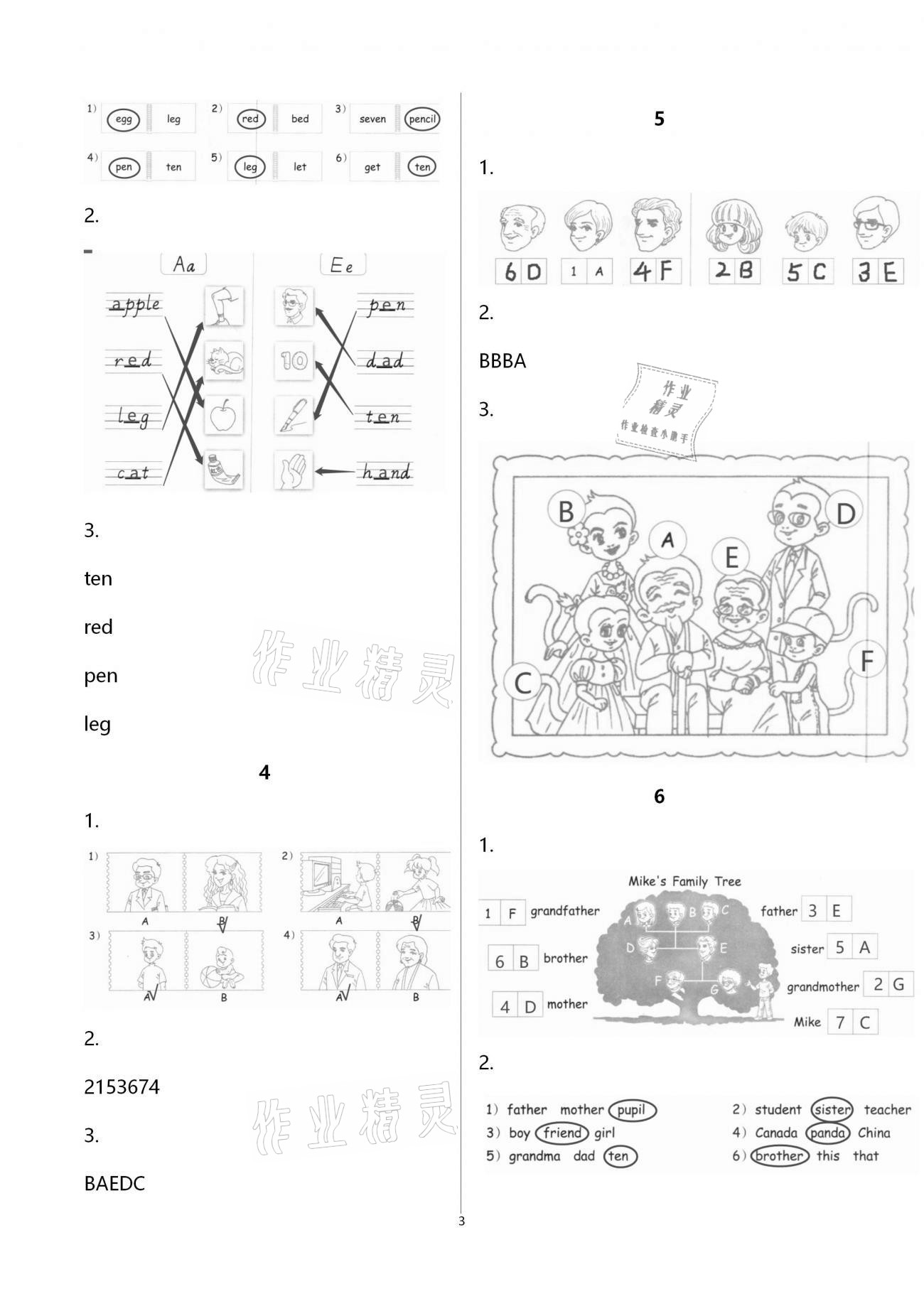 2021年英語(yǔ)作業(yè)本三年級(jí)下冊(cè)人教版浙江教育出版社 第3頁(yè)