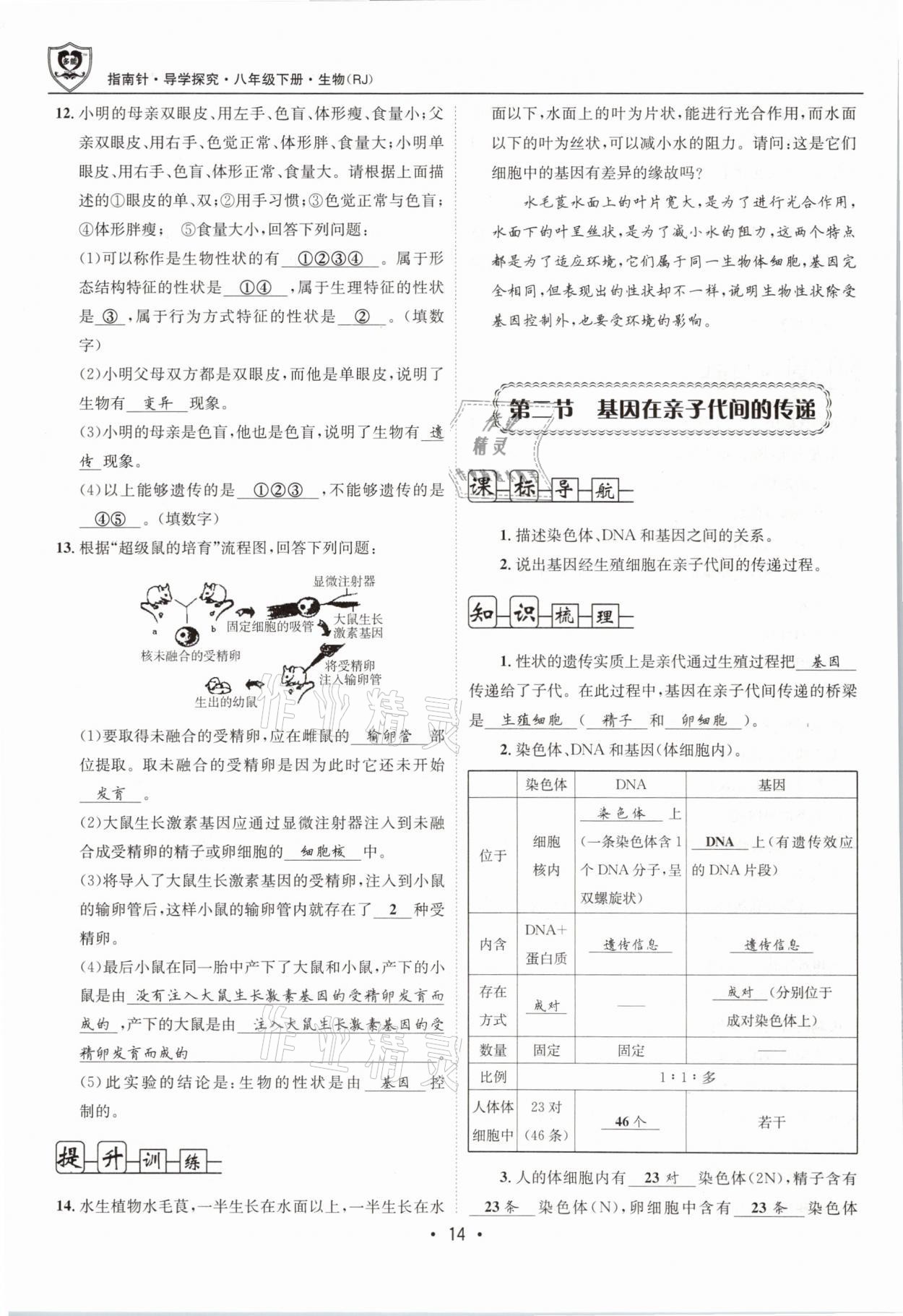 2021年指南針導(dǎo)學(xué)探究八年級(jí)生物下冊(cè)人教版 第14頁(yè)