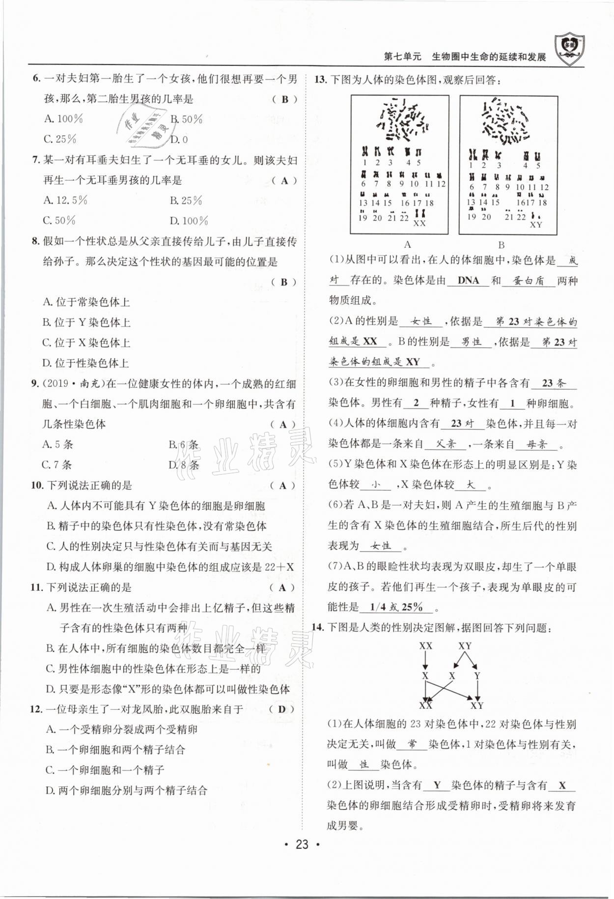 2021年指南針導(dǎo)學(xué)探究八年級生物下冊人教版 第23頁