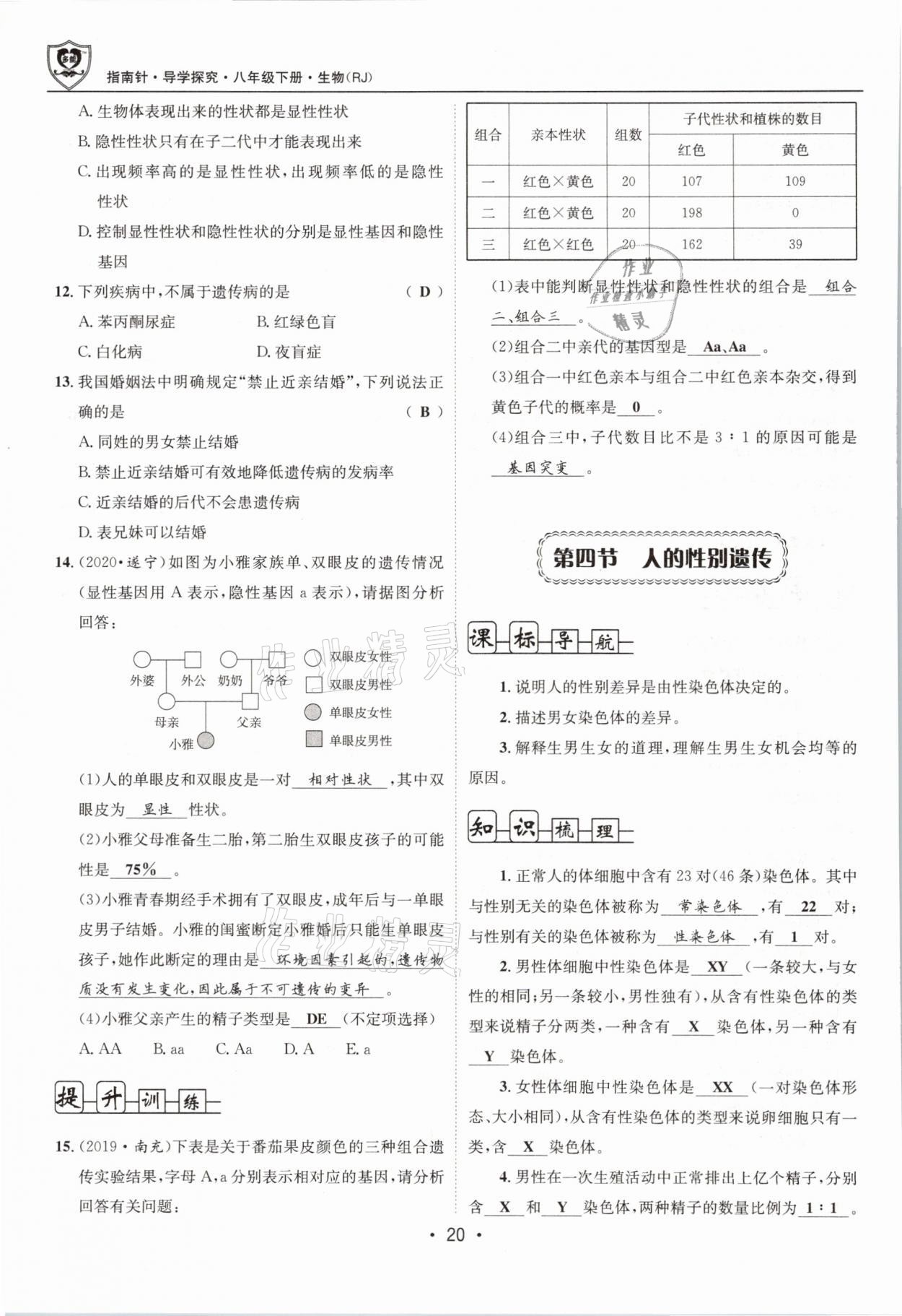 2021年指南針導(dǎo)學(xué)探究八年級生物下冊人教版 第20頁