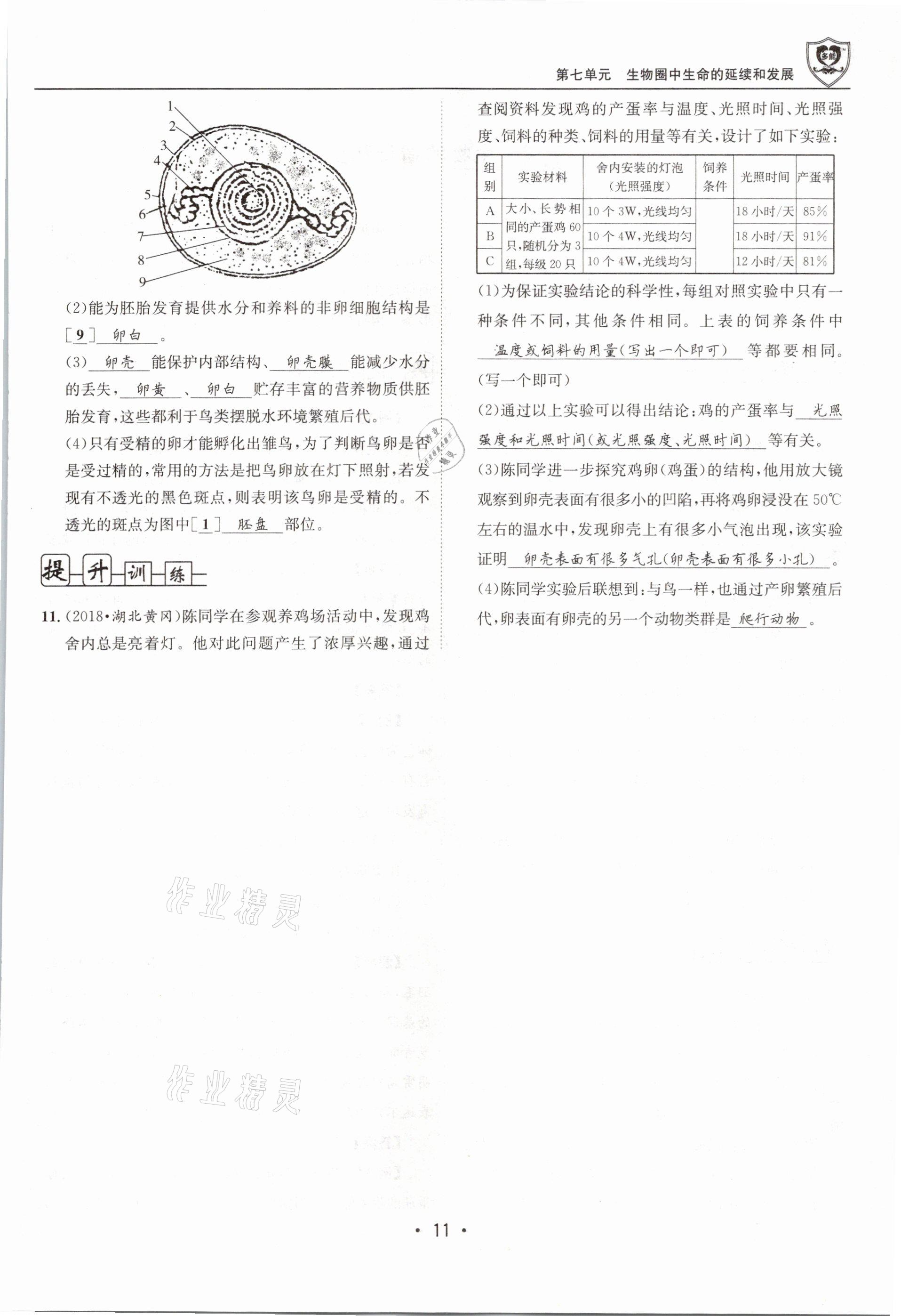 2021年指南針導(dǎo)學(xué)探究八年級生物下冊人教版 第11頁