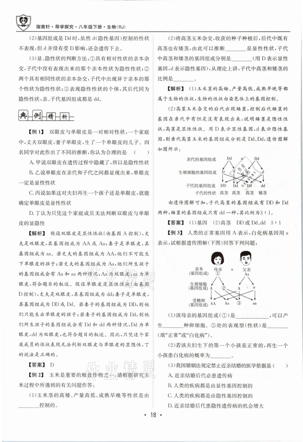 2021年指南針導(dǎo)學(xué)探究八年級生物下冊人教版 第18頁