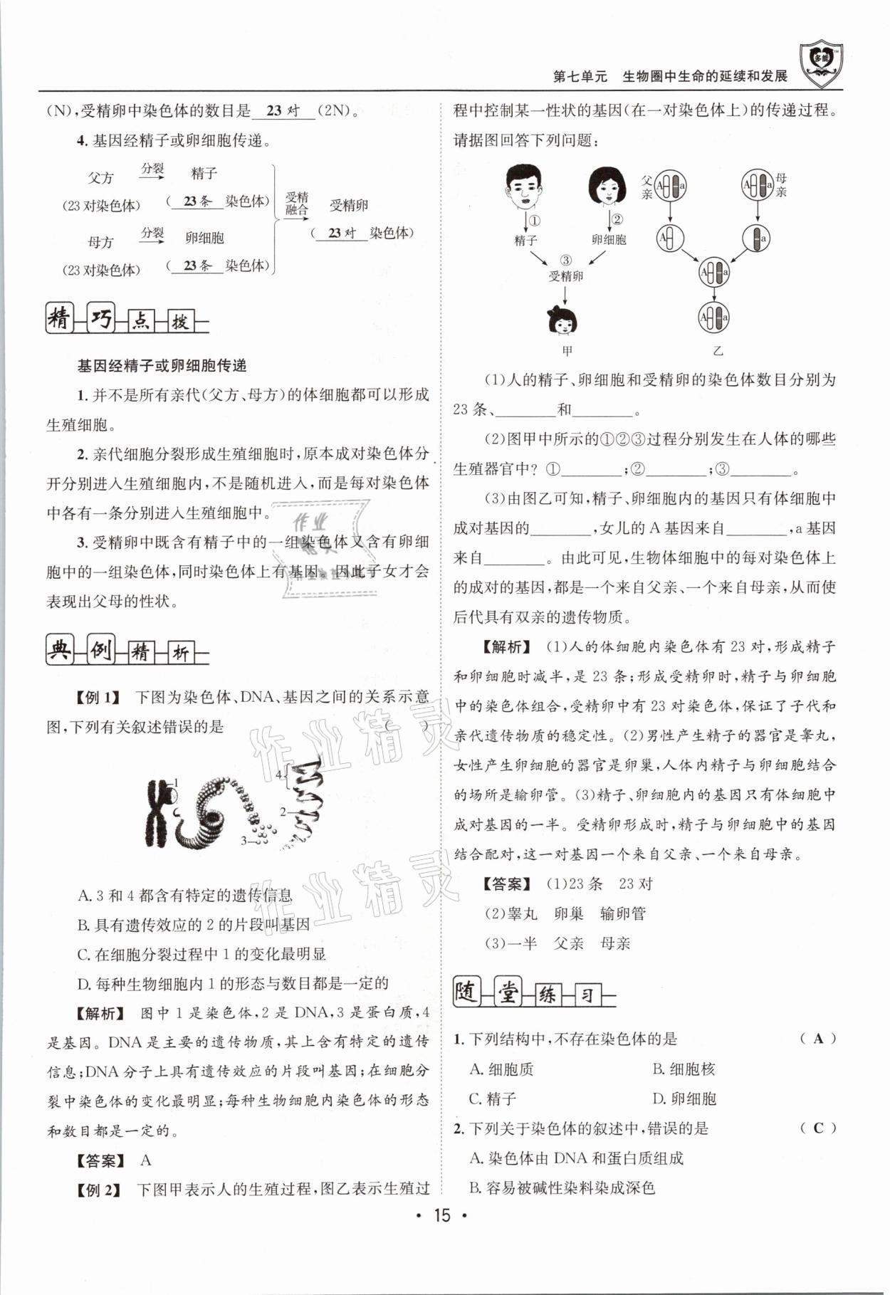 2021年指南針導(dǎo)學(xué)探究八年級生物下冊人教版 第15頁