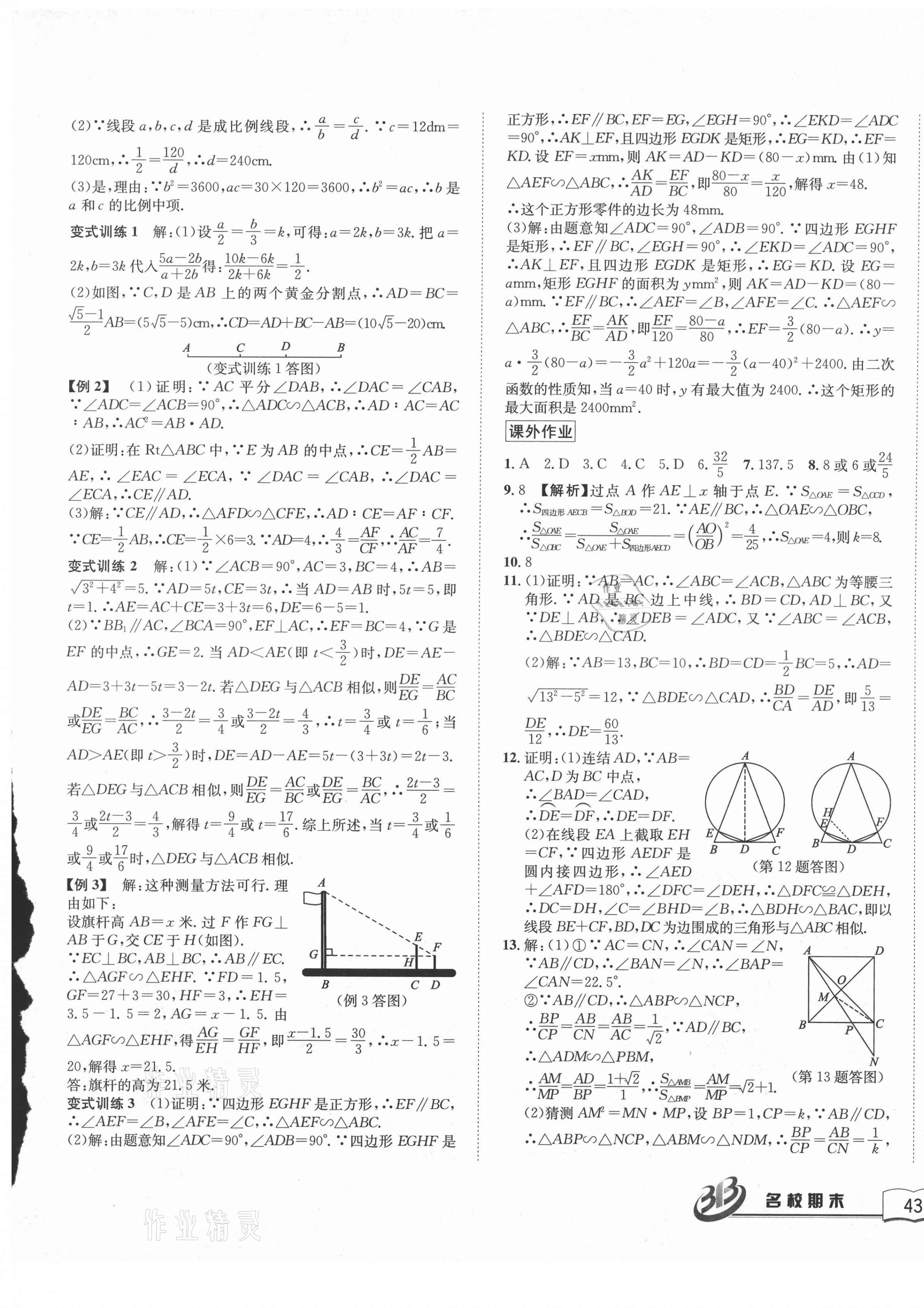 2020年名校期末复习宝典九年级数学全一册浙教版 第5页