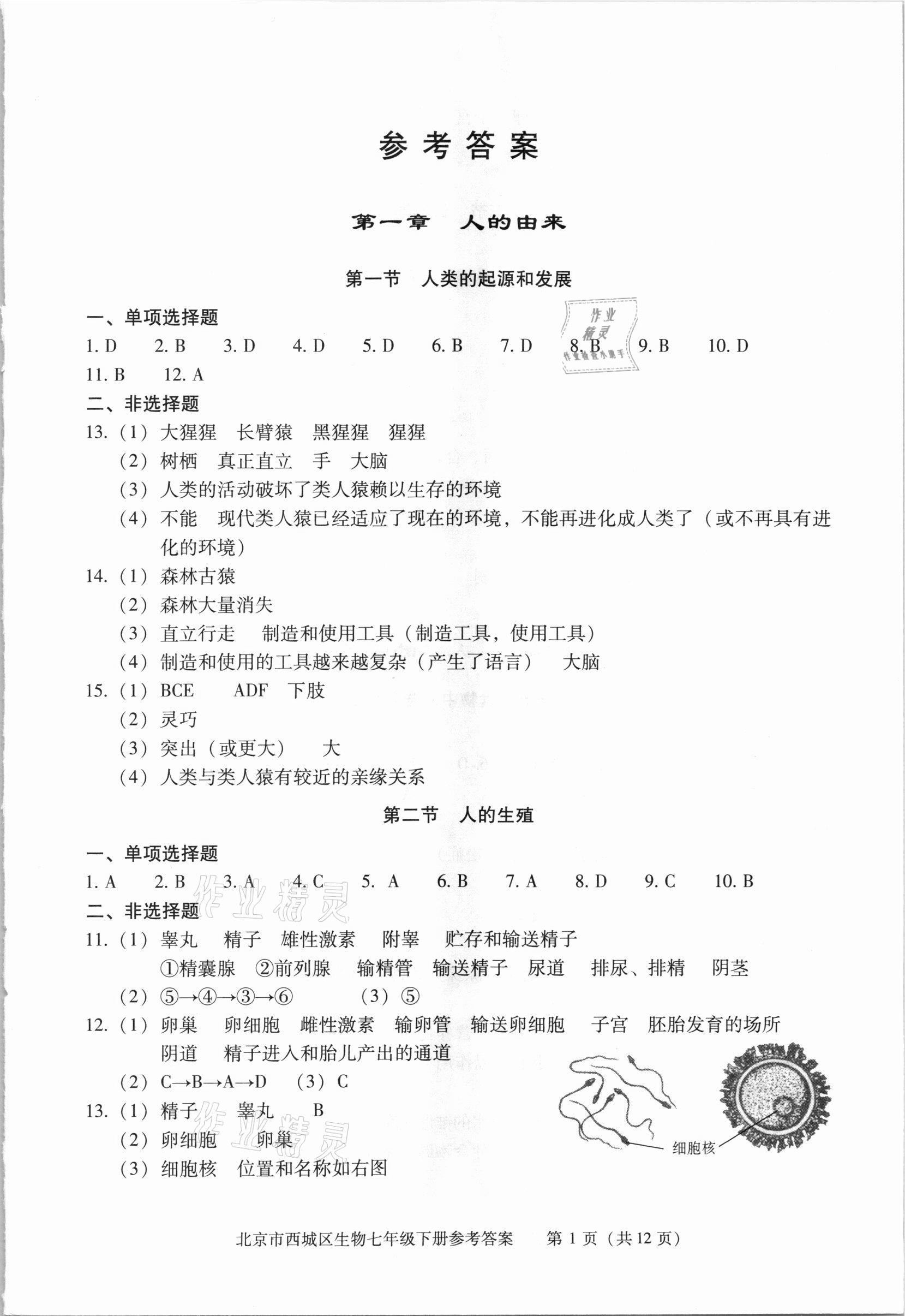 2021年学习探究诊断七年级生物下册人教版 参考答案第1页