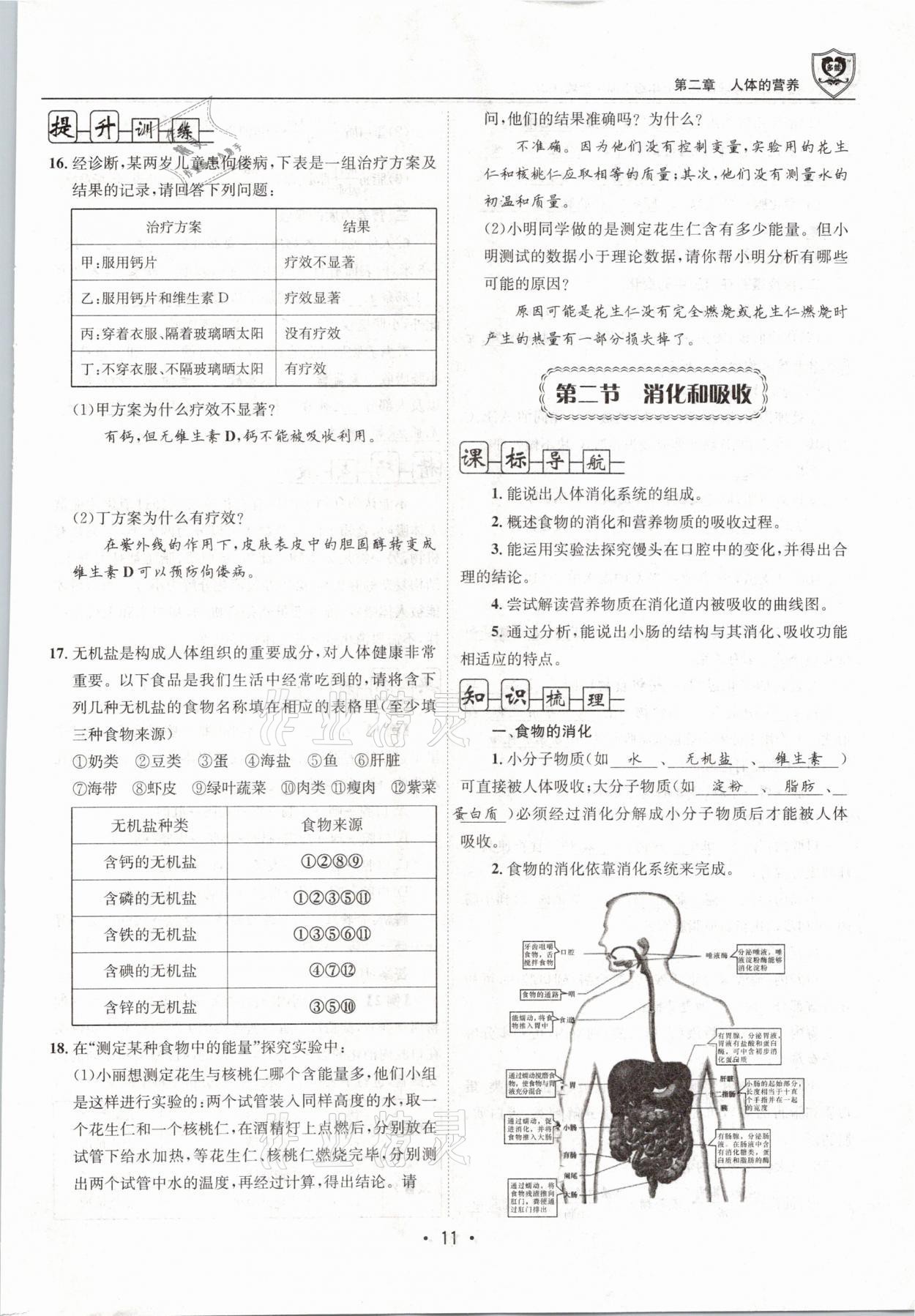 2021年指南針導(dǎo)學(xué)探究七年級生物下冊人教版 參考答案第11頁