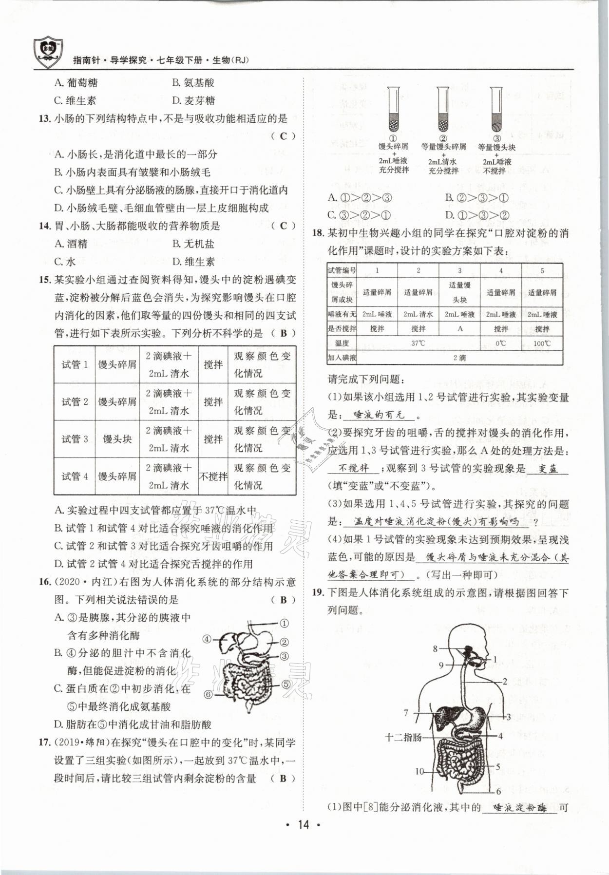 2021年指南针导学探究七年级生物下册人教版 参考答案第14页