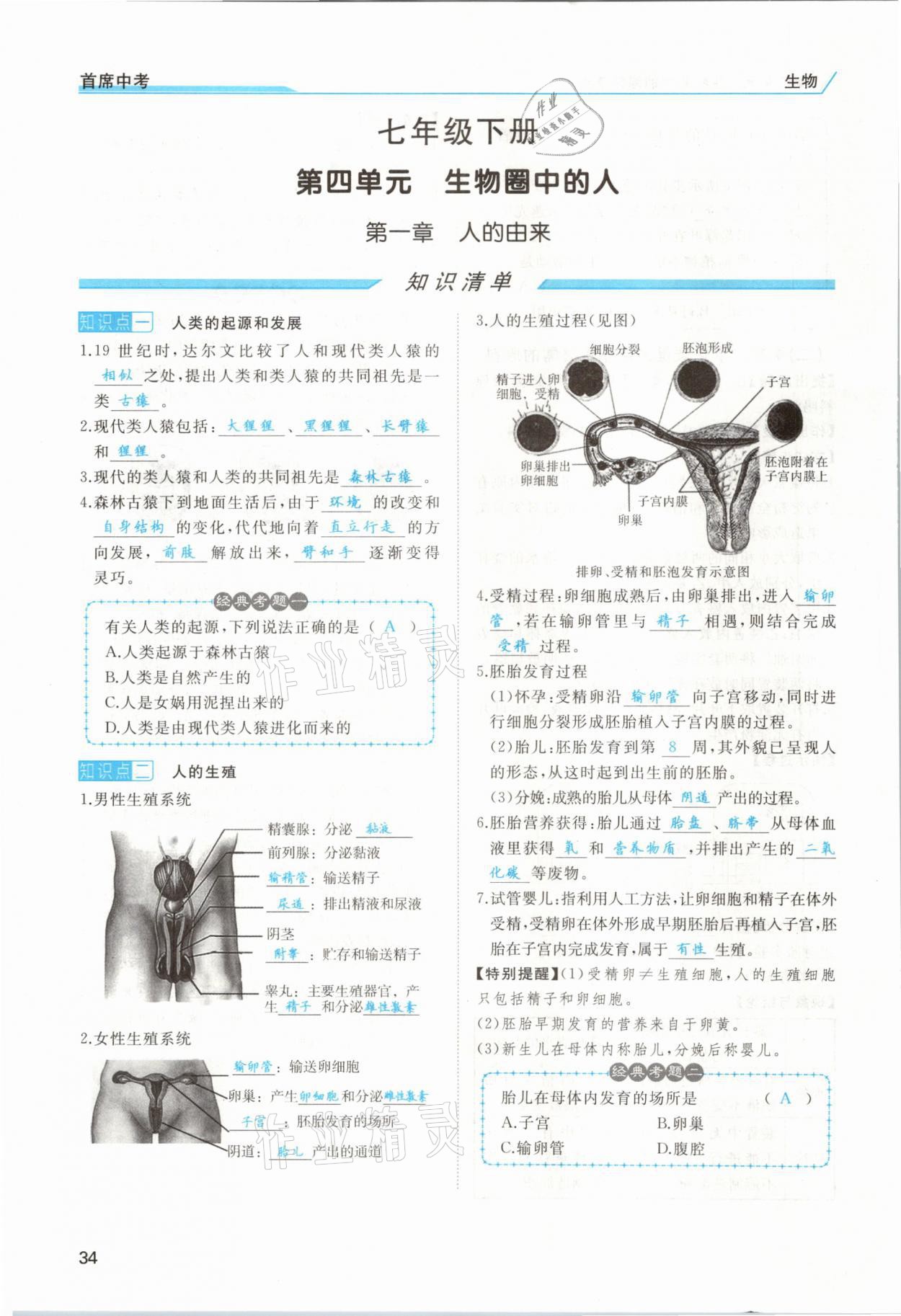2021年首席中考生物甘肅專(zhuān)版&nbsp;第32頁(yè)