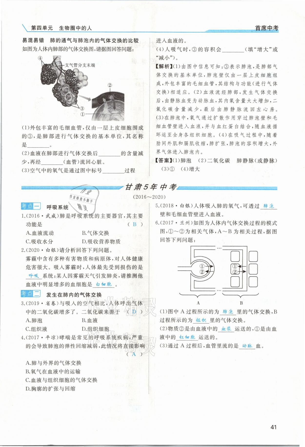 2021年首席中考生物甘肅專版&nbsp;第39頁