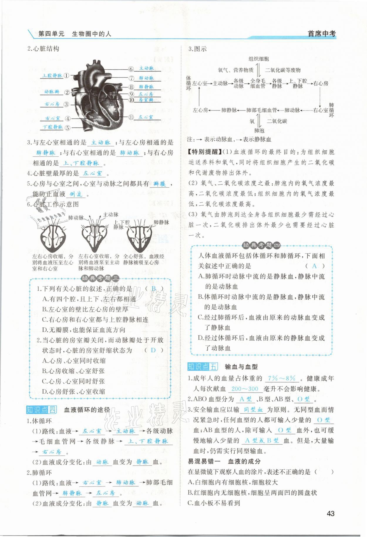 2021年首席中考生物甘肅專版&nbsp;第41頁