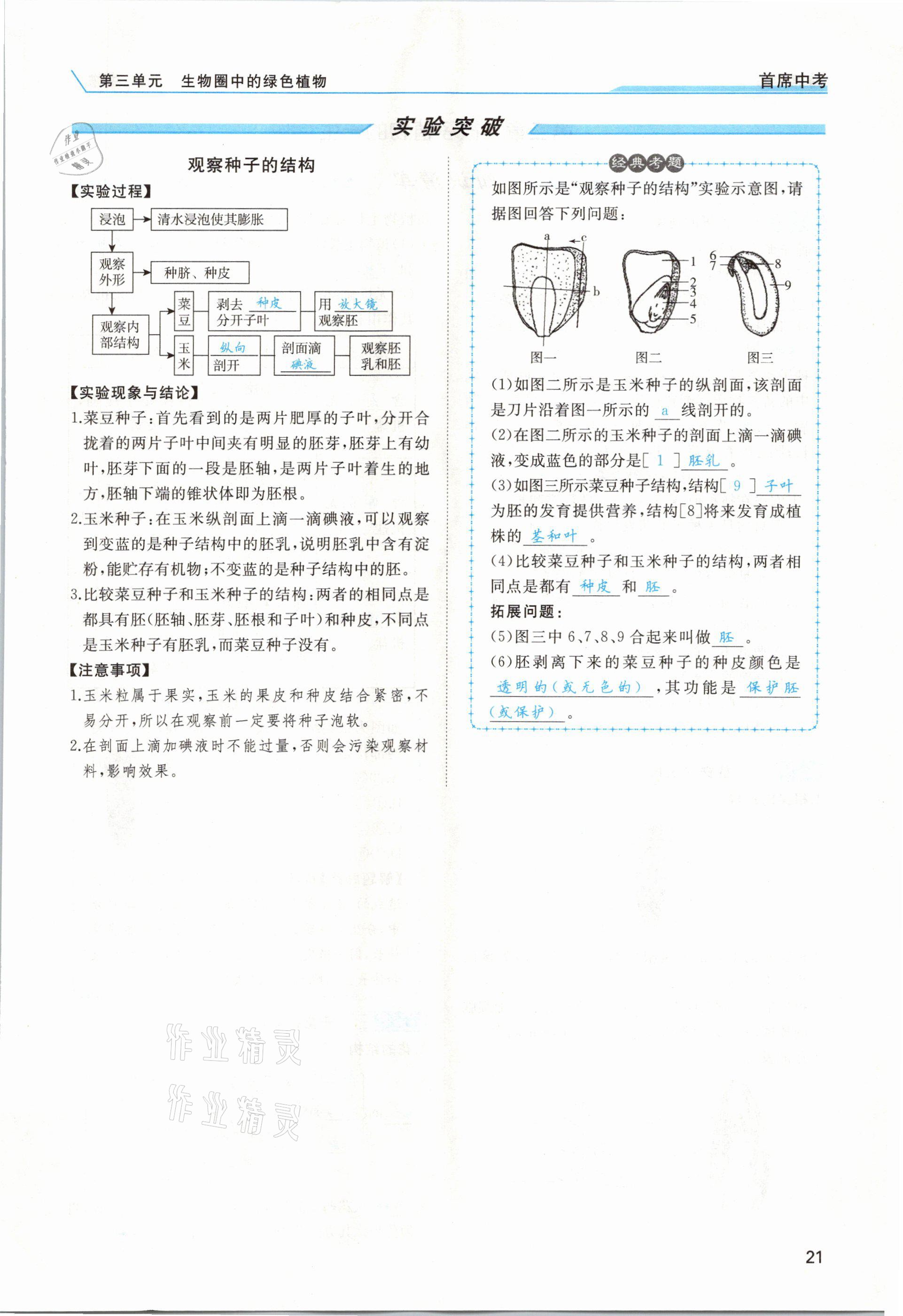 2021年首席中考生物甘肅專版&nbsp;第19頁