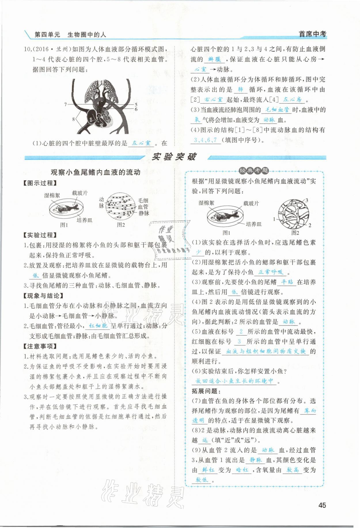 2021年首席中考生物甘肅專版&nbsp;第43頁(yè)
