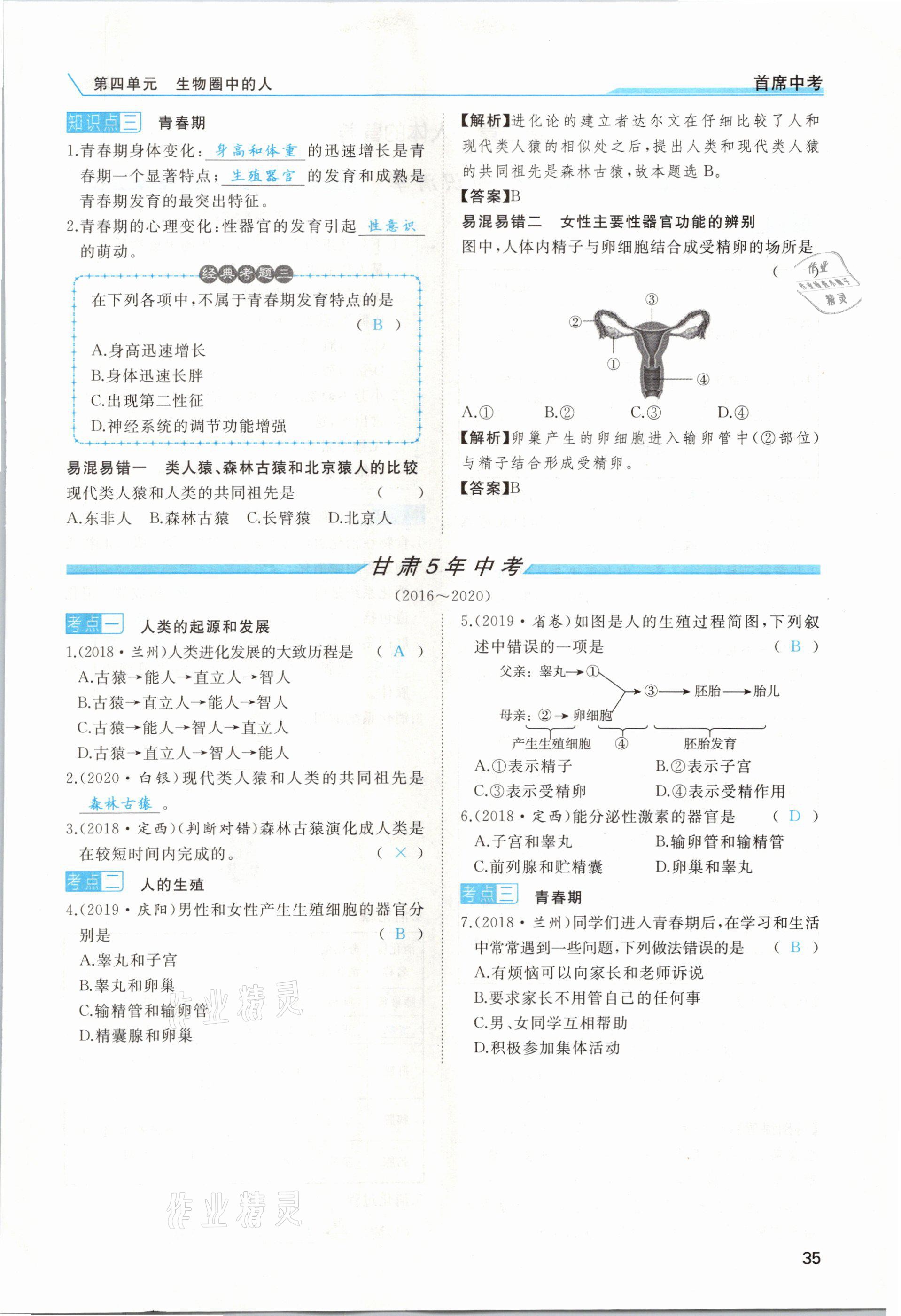 2021年首席中考生物甘肅專(zhuān)版&nbsp;第33頁(yè)