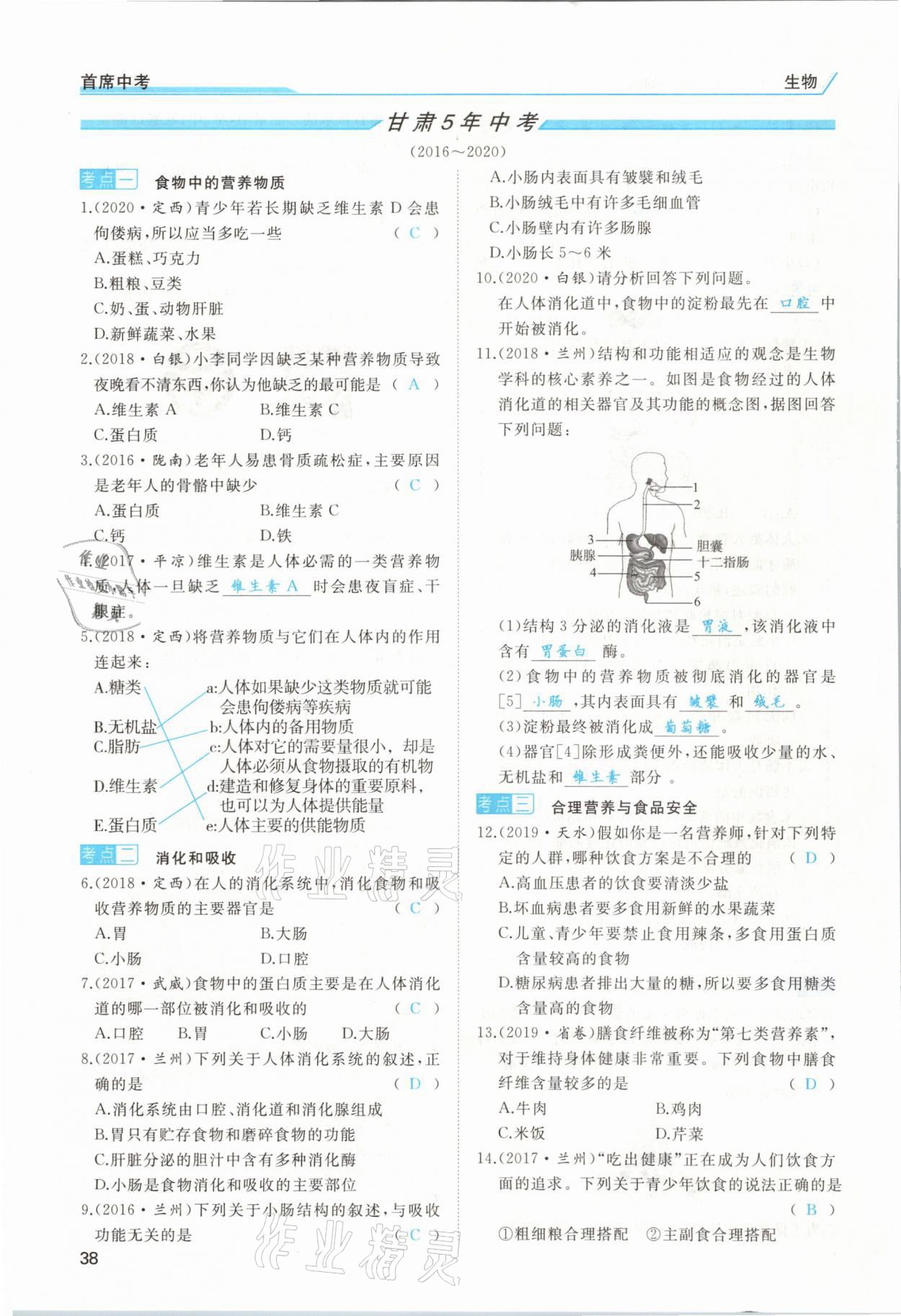 2021年首席中考生物甘肅專版&nbsp;第36頁