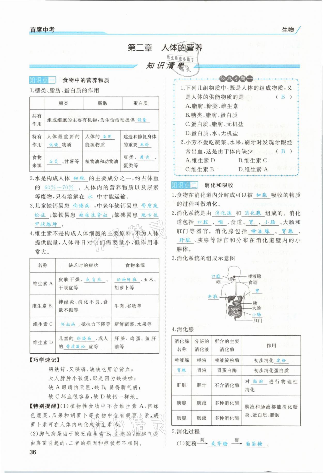 2021年首席中考生物甘肅專版&nbsp;第34頁(yè)