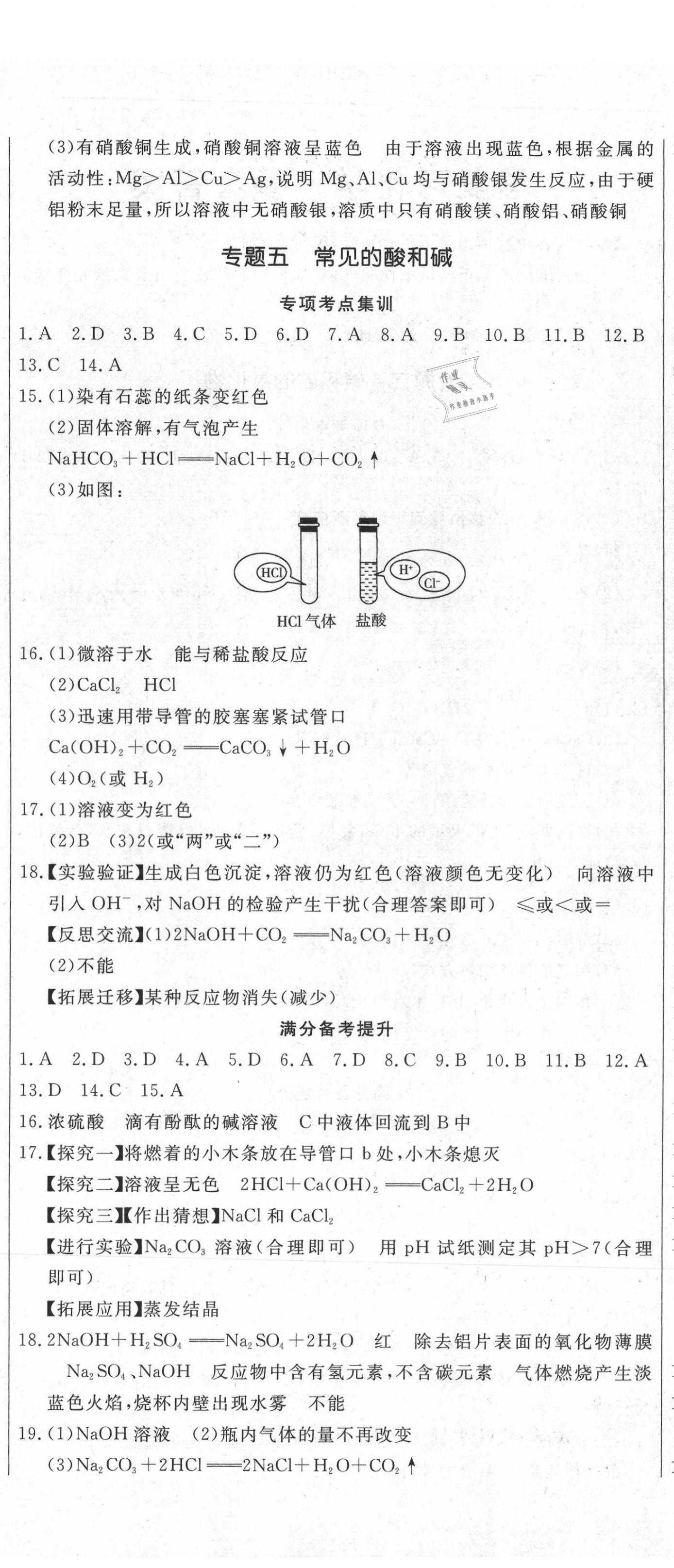2021年新中考領航大考卷化學 第5頁
